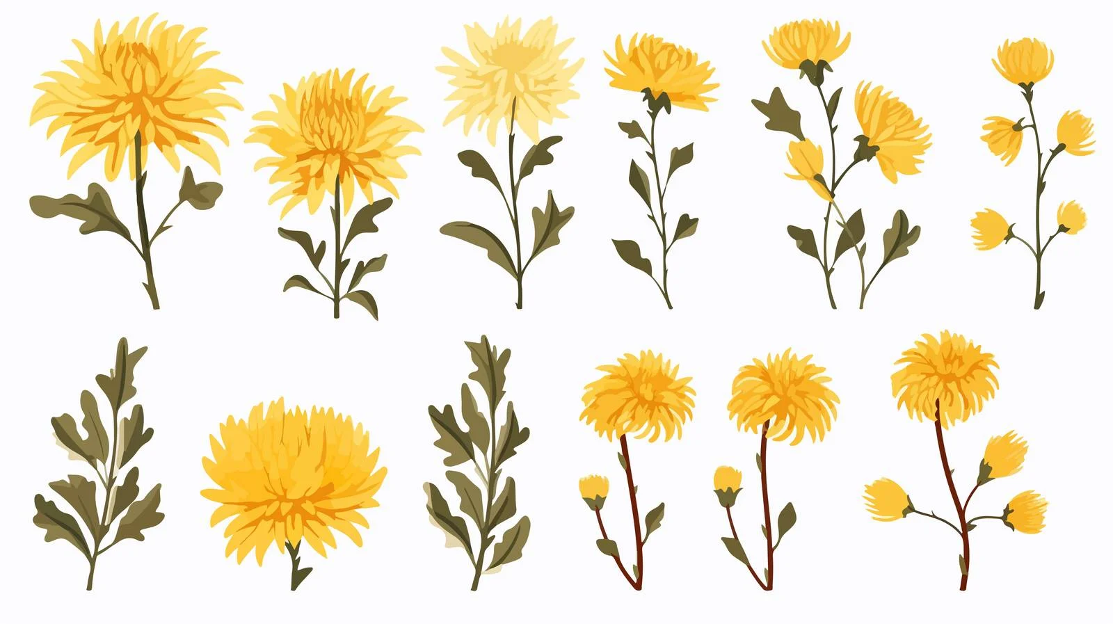 Hand-drawn Chrysanthemum Flowers Set — free download from Dotvec