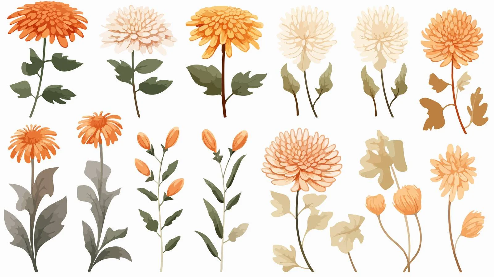 Hand-drawn Chrysanthemum Set — free download from Dotvec
