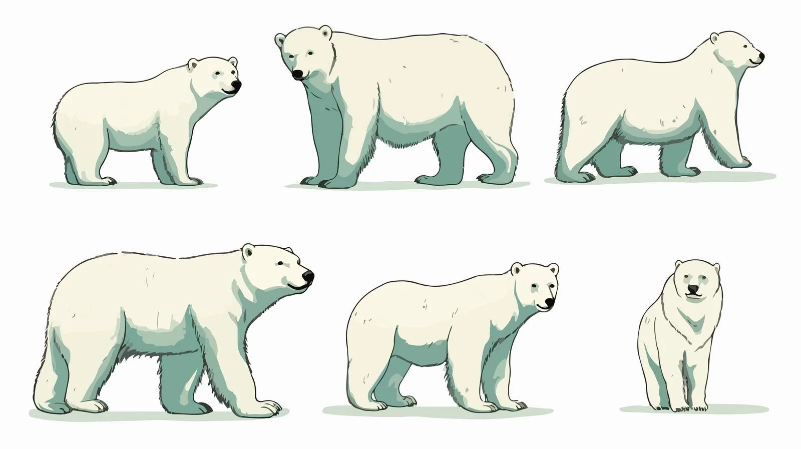 Collection of varying white polar bears — free download from Dotvec