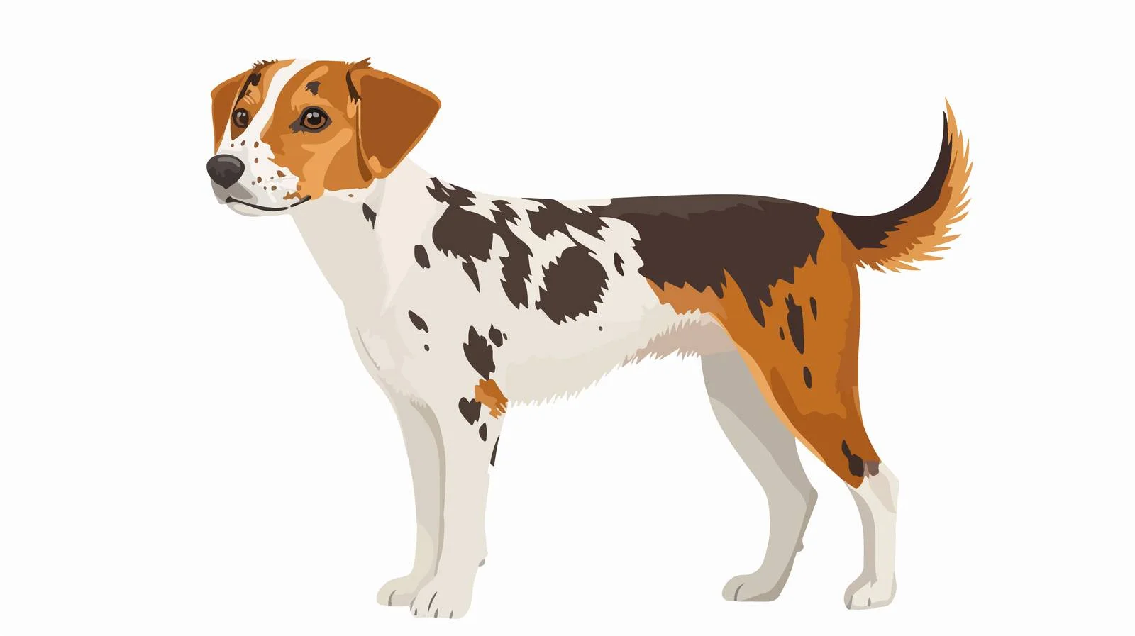 Adorable Young Dog in Side View — free download from Dotvec