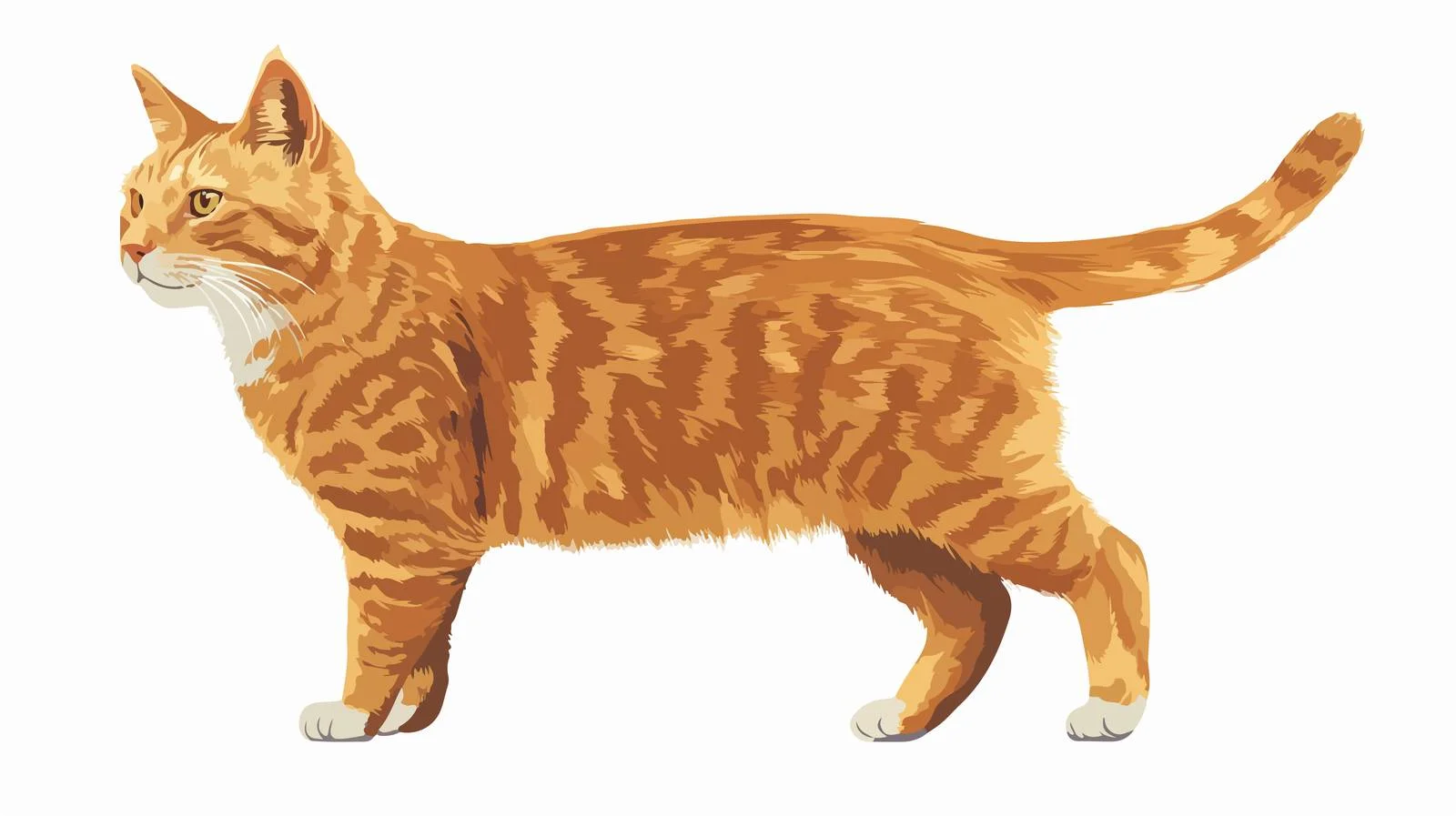 Elegant Mature Cat Standing Outdoors Gracefully — free download from Dotvec