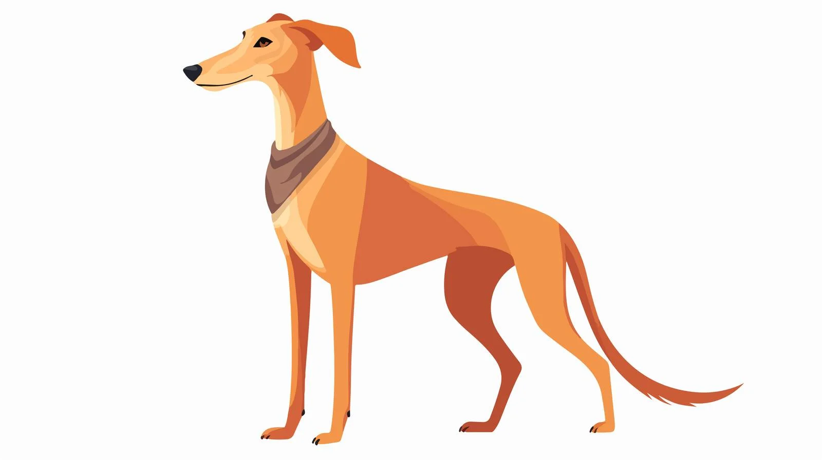 Graceful Sighthound: Elegant Hunting Companion Image — free download from Dotvec