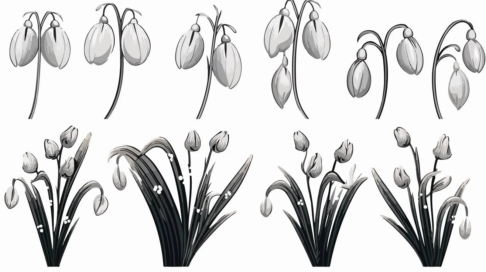 Snowdrop Flower Sketch Illustration — free download from Dotvec