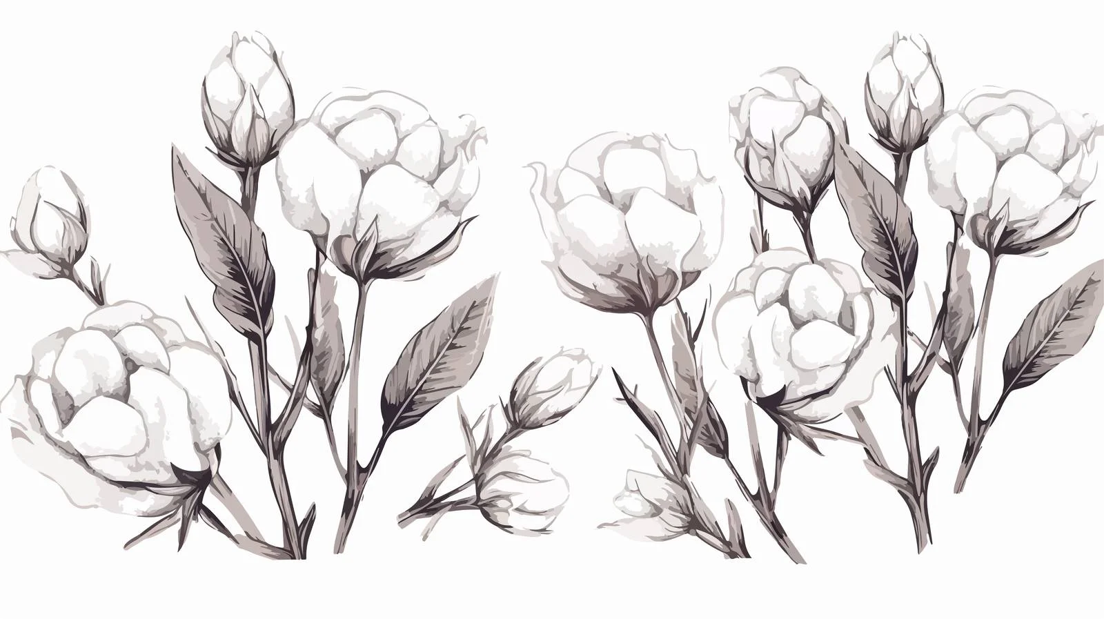 Delicate Cotton Blossom and Leaf Study — free download from Dotvec
