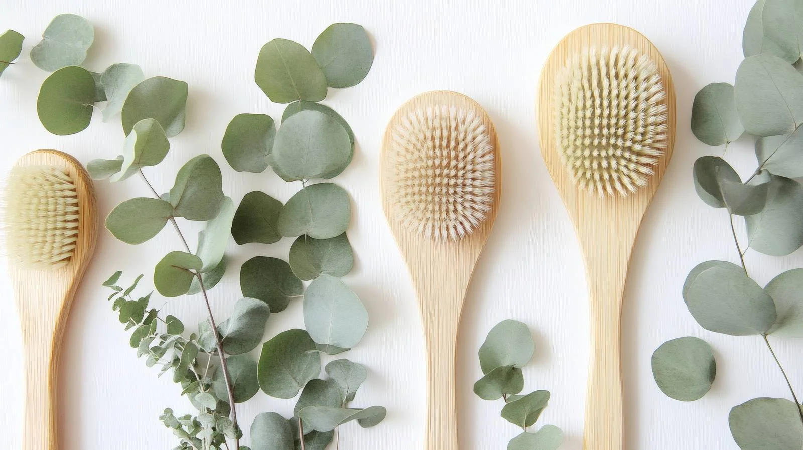 Eucalyptus leaves and spa brushes on white — free download from Dotvec