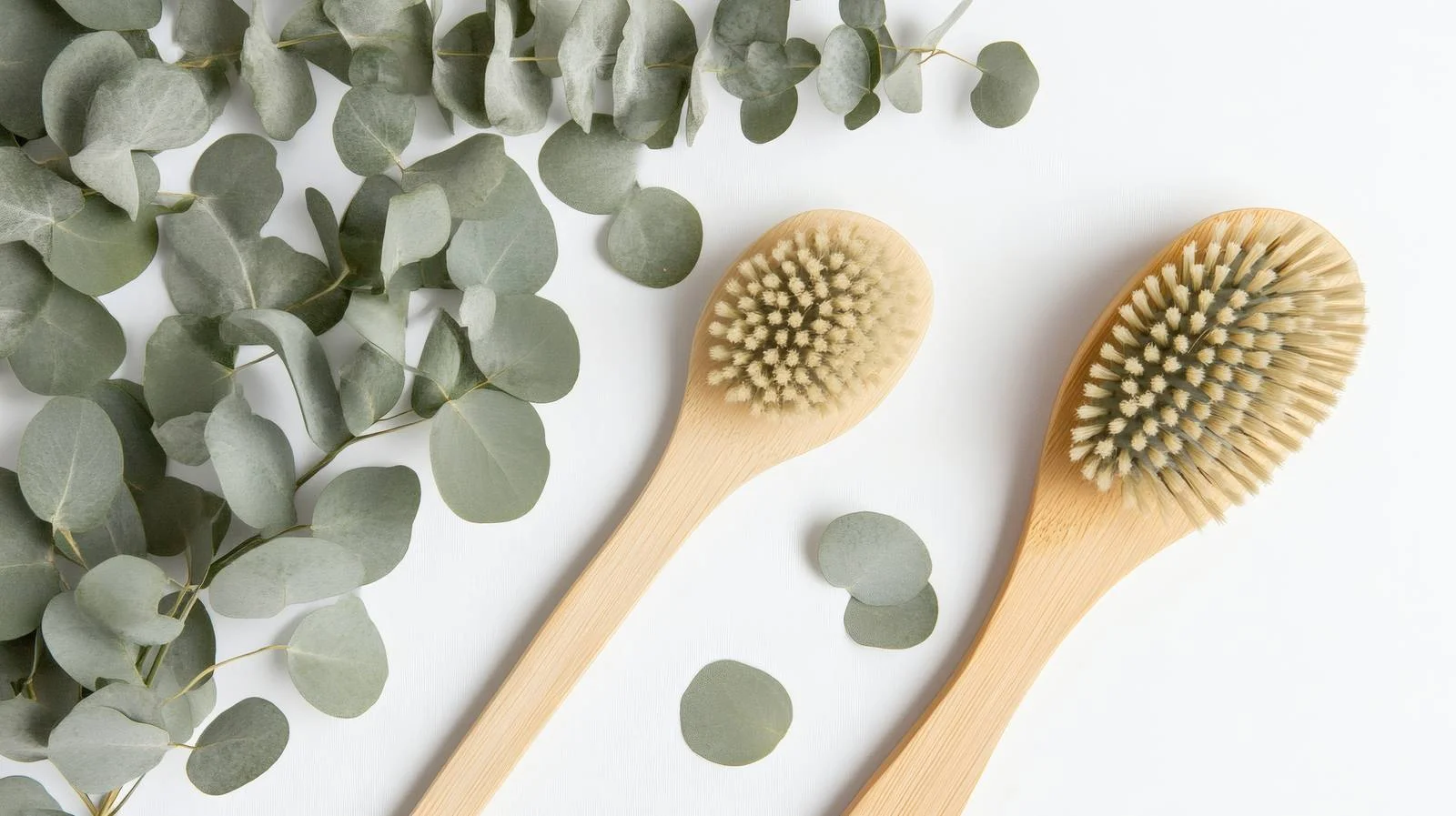 Eucalyptus Leaves and Spa Brushes on White Background — free download from Dotvec