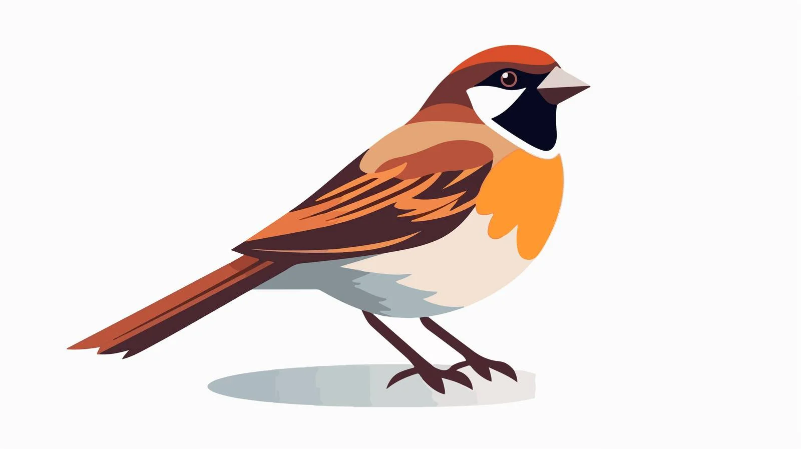 Adorable Sparrow on White Background — free download from Dotvec