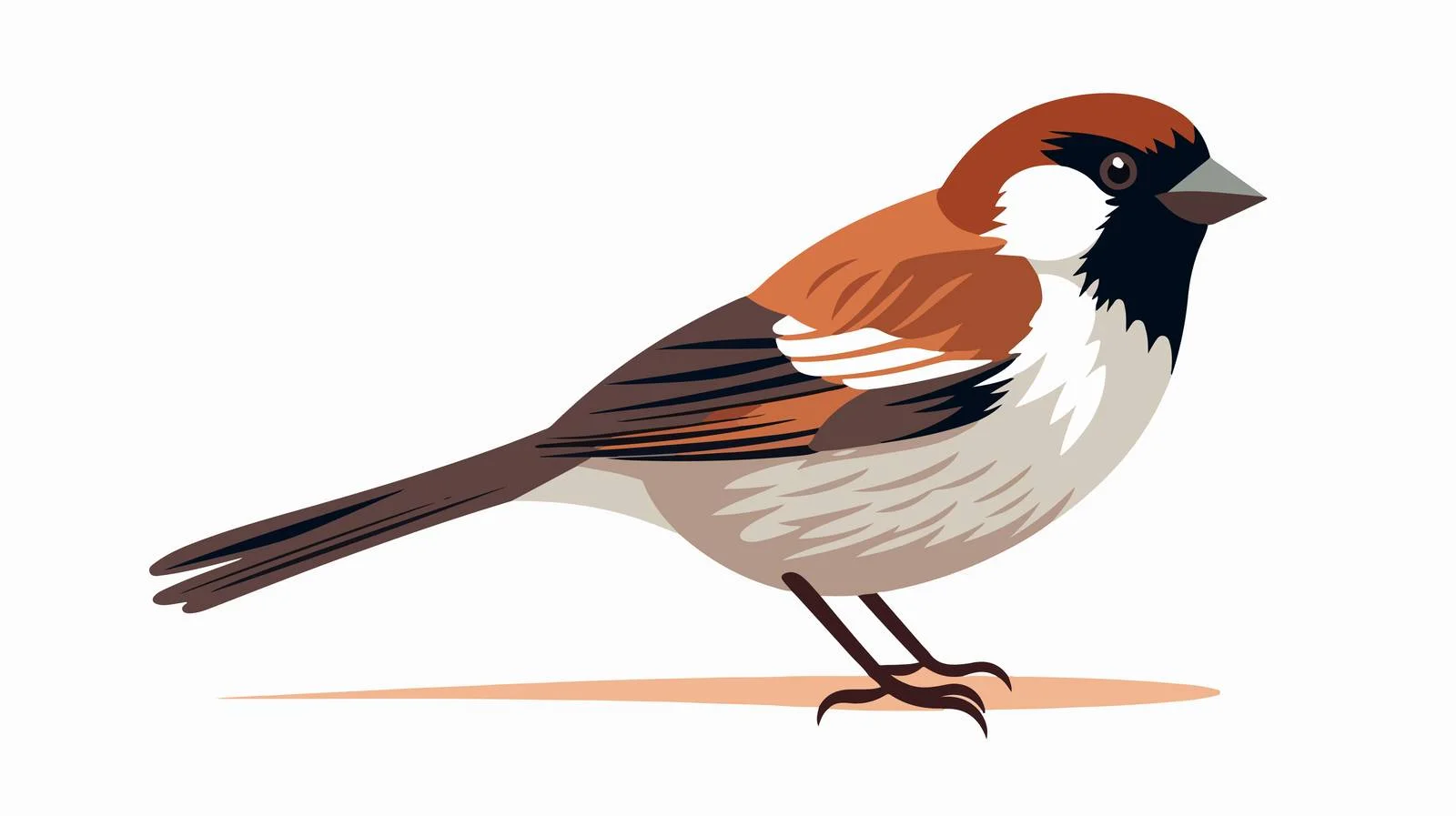 Adorable Sparrow on White Background — free download from Dotvec