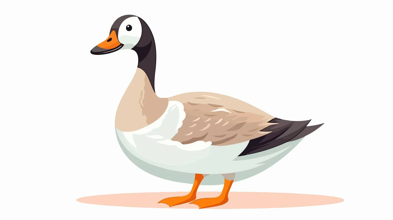 Adorable Sparrow on White Background — free download from Dotvec