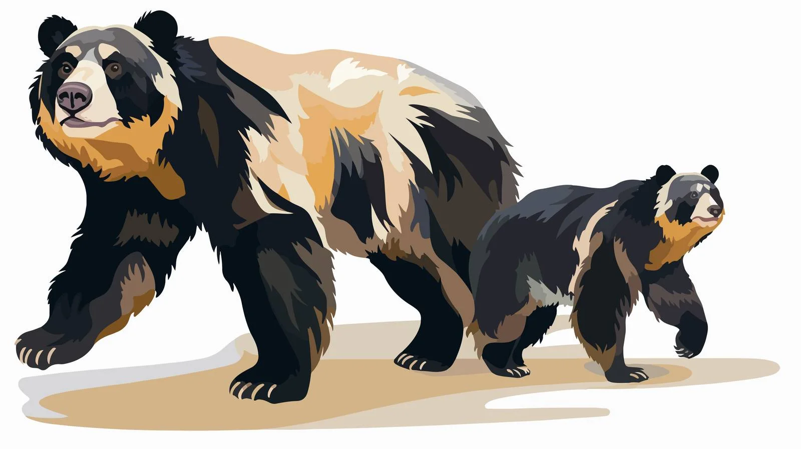 Andean Spectacled Bear Mother and Cub – free andean image from Dotvec