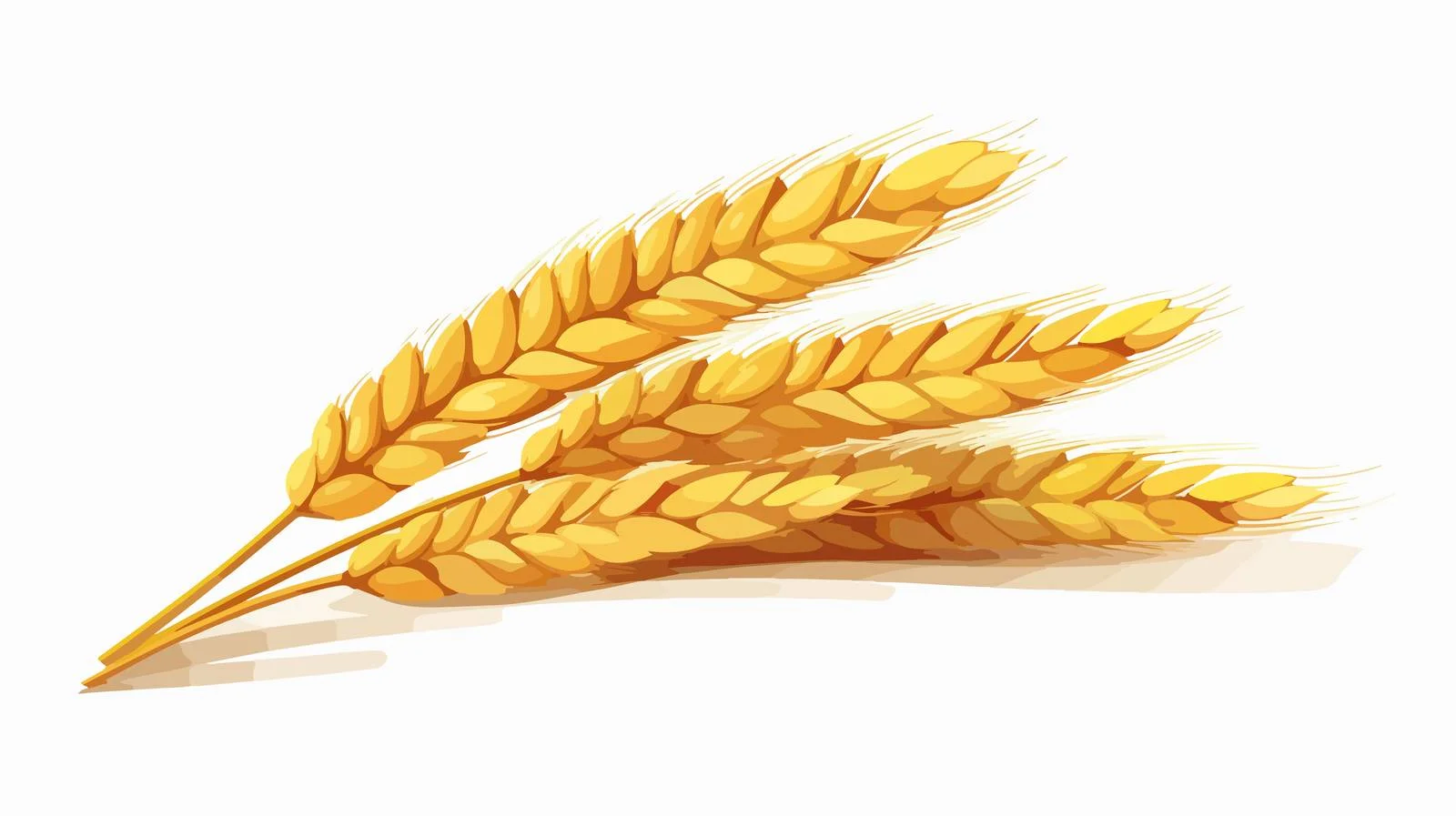 Wheat Spike on White Background Cartoon — free download from Dotvec