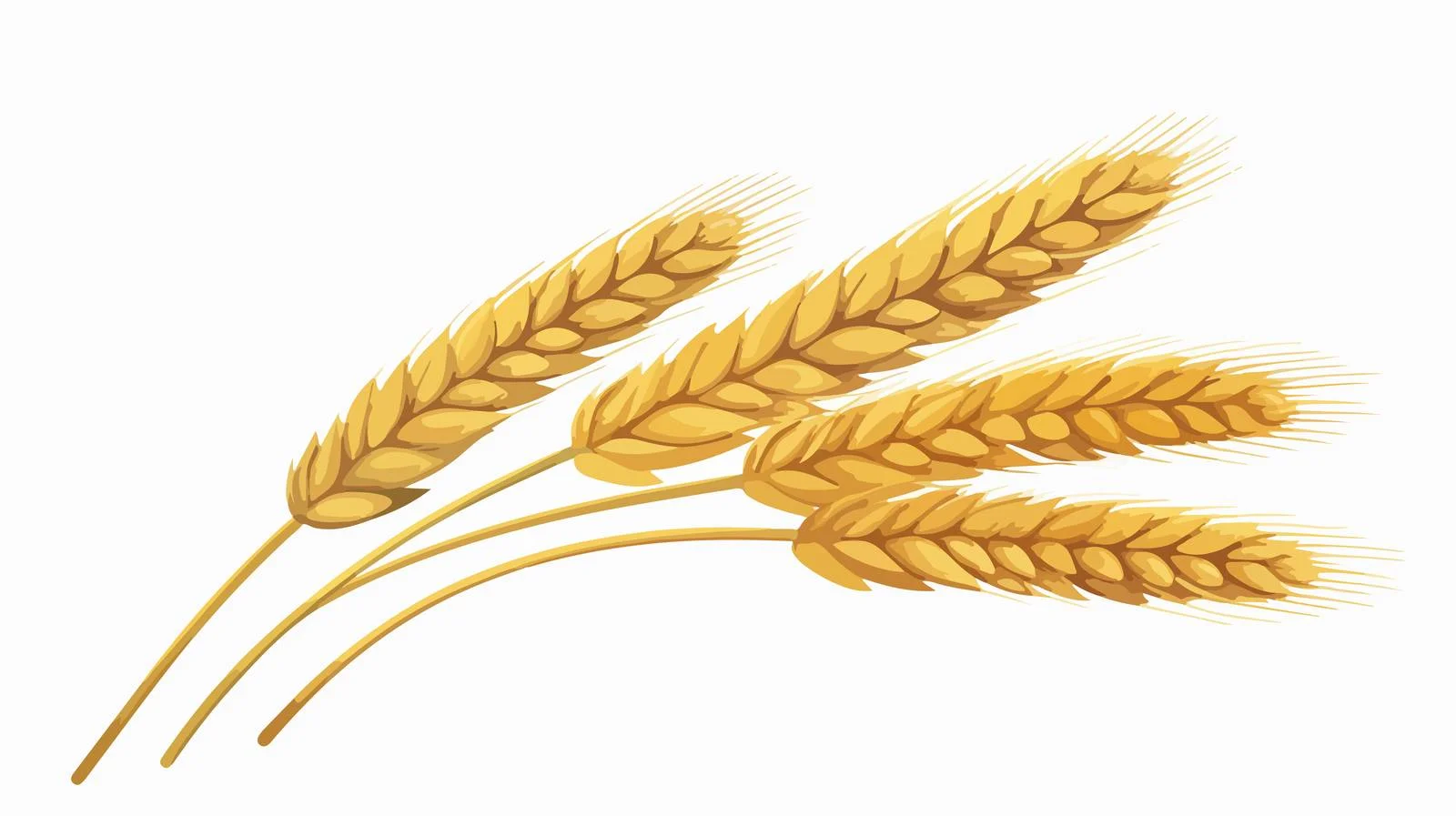 Wheat Spike Cartoon Isolated on White — free download from Dotvec