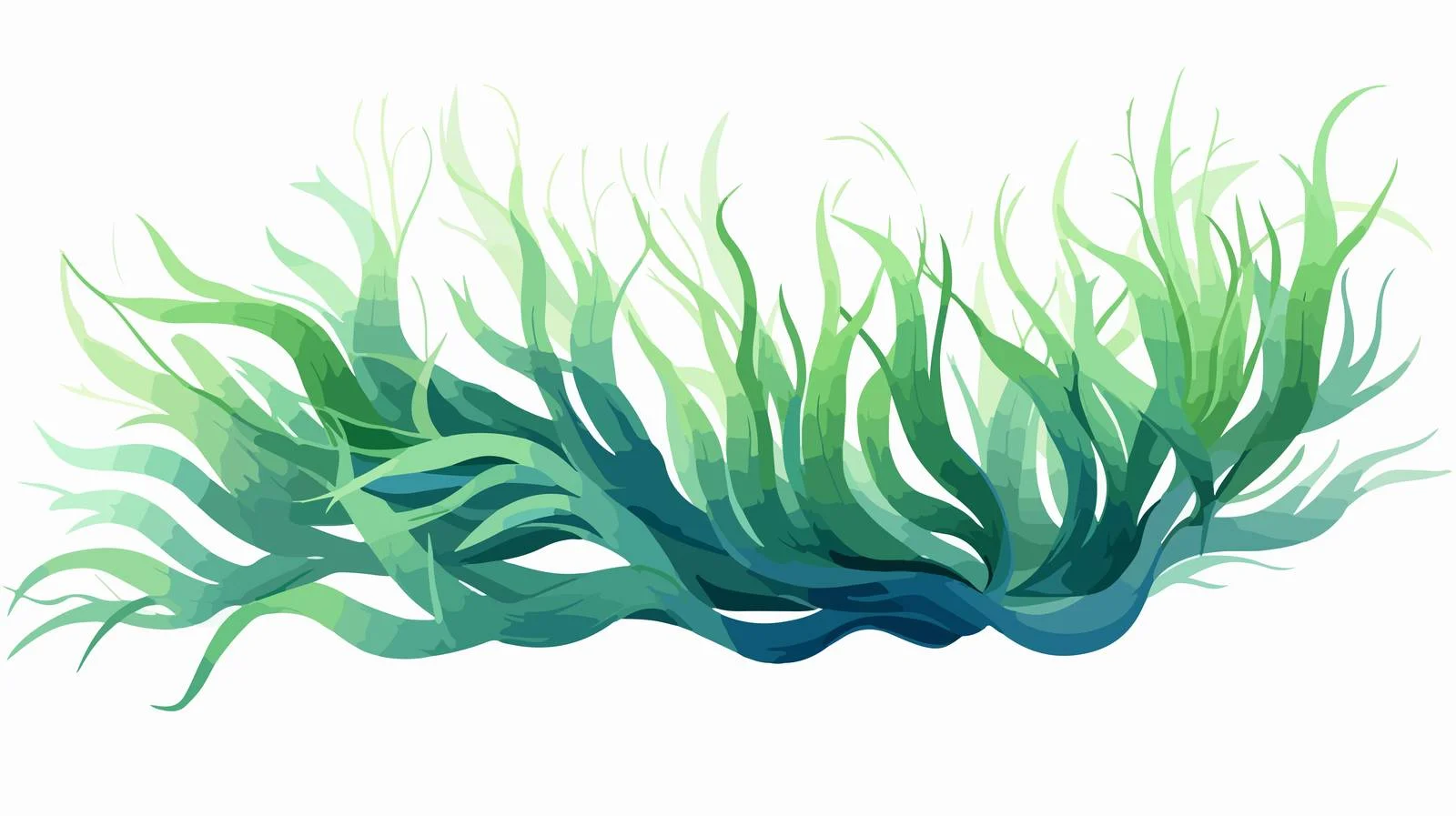 Realistic Spirulina Algae and Edible Seaweed — free download from Dotvec