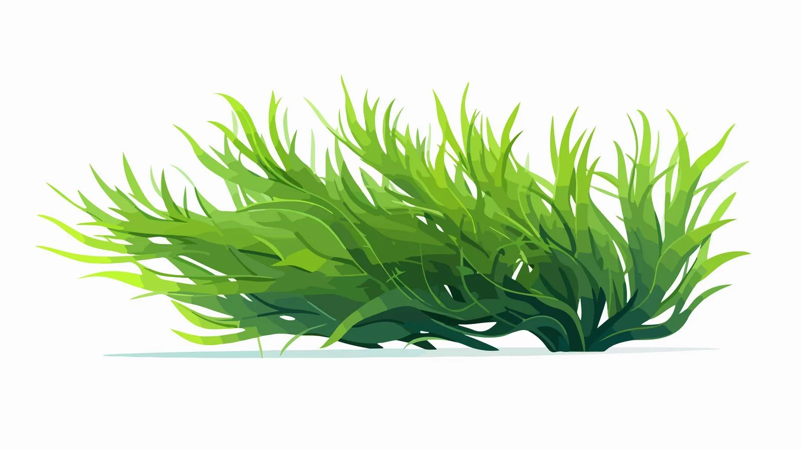 Realistic Spirulina Alga Edible Seaweed Leaves — free download from Dotvec