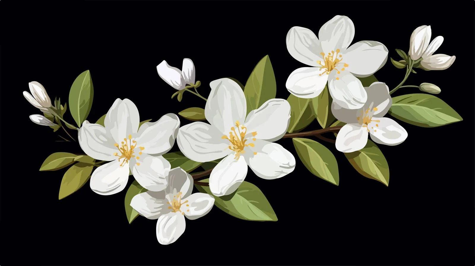 Elegant Starburst Jasmine Blossoms — free download from Dotvec