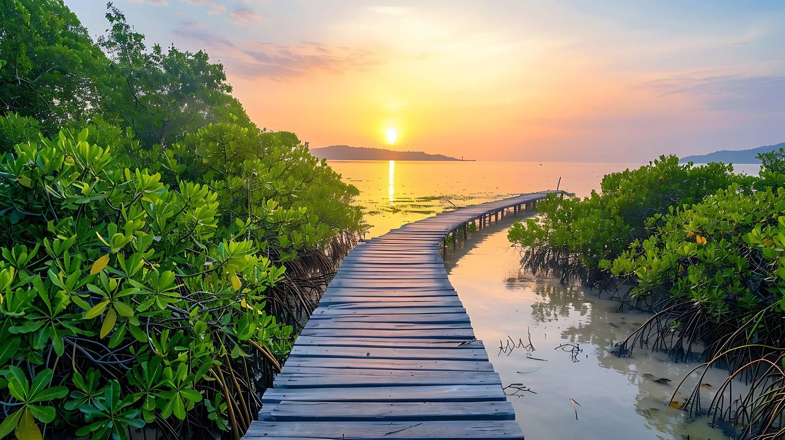 Tranquil sunrise at Mangrove Plank Road — free download from Dotvec