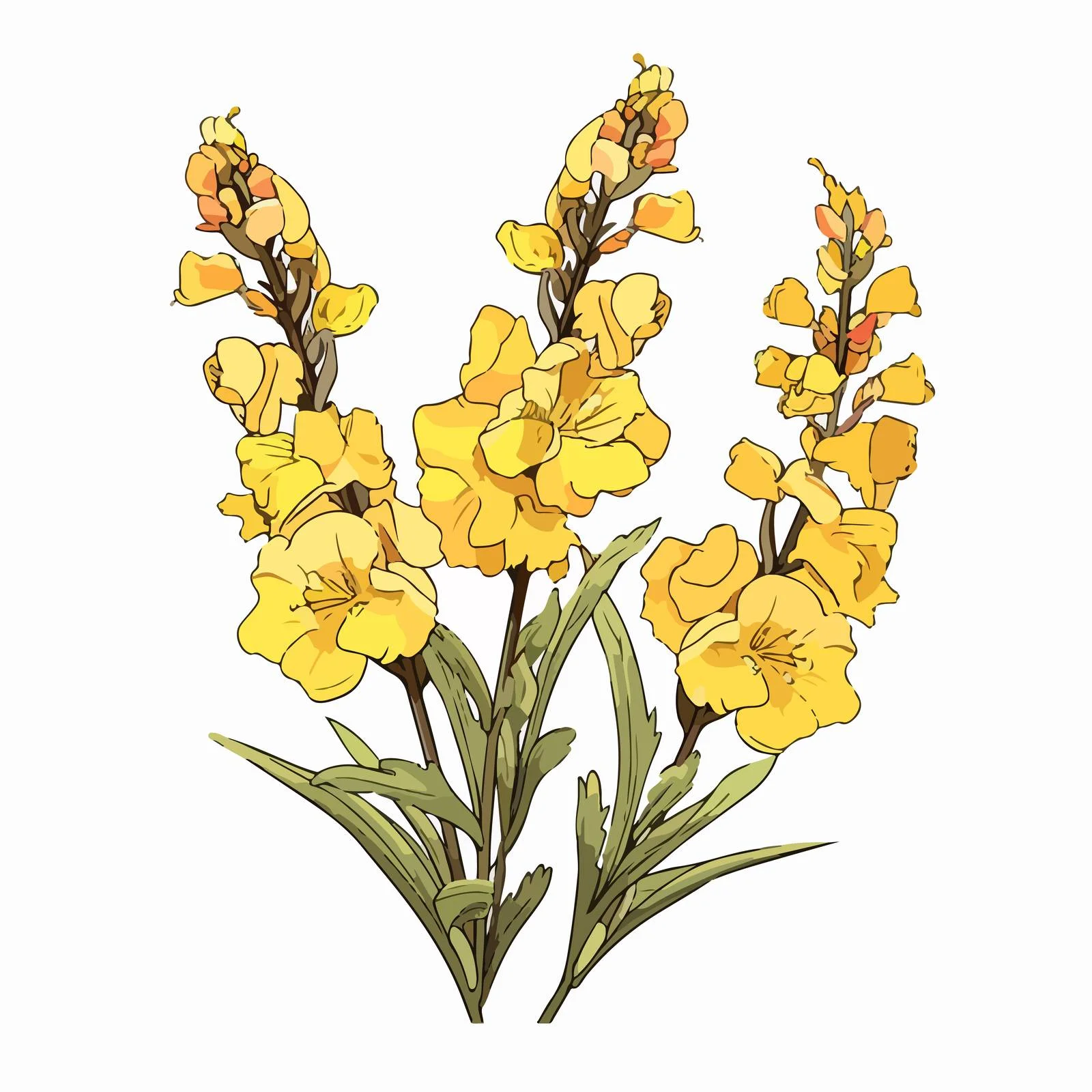 Isolated Verbascum Flowers on White Background — free download from Dotvec