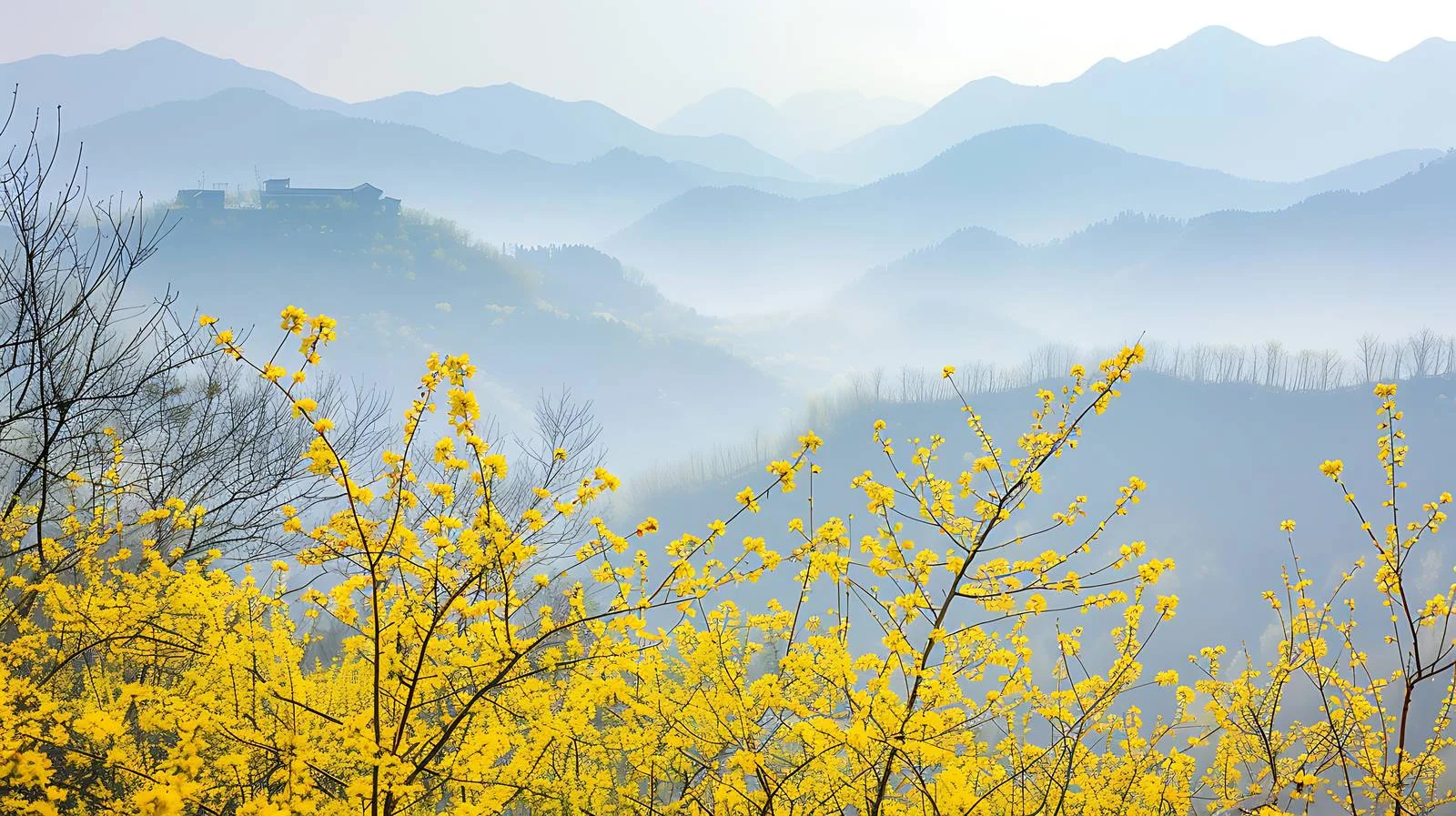 Vibrant Forsythia Blossoms in Mountain Scenery — free download from Dotvec