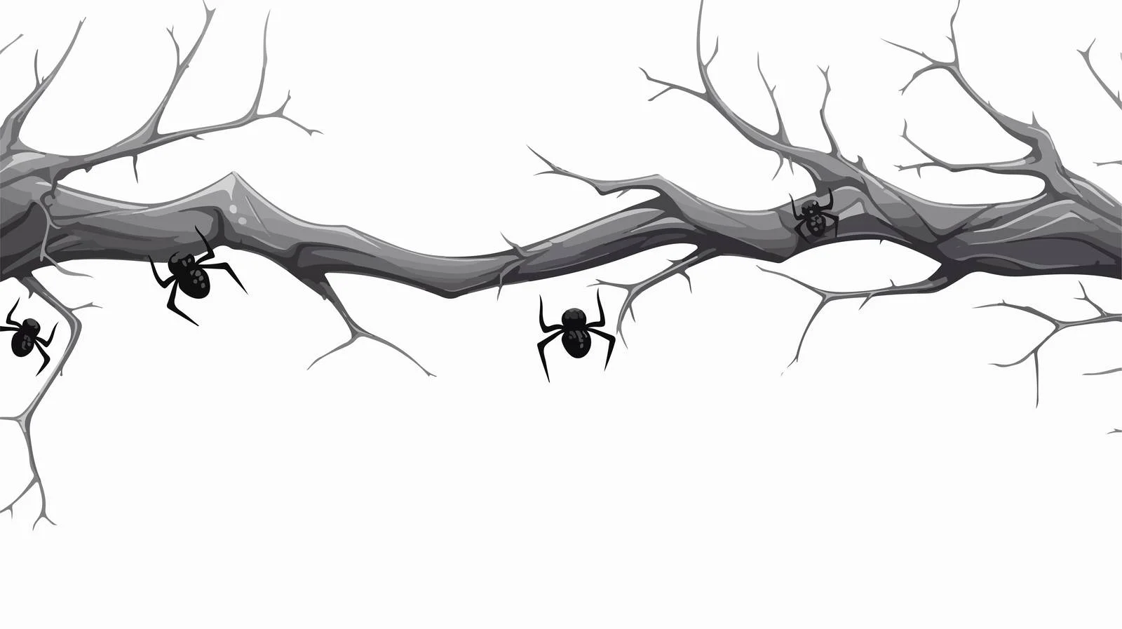 Aged Spider Web with Spider — free download from Dotvec