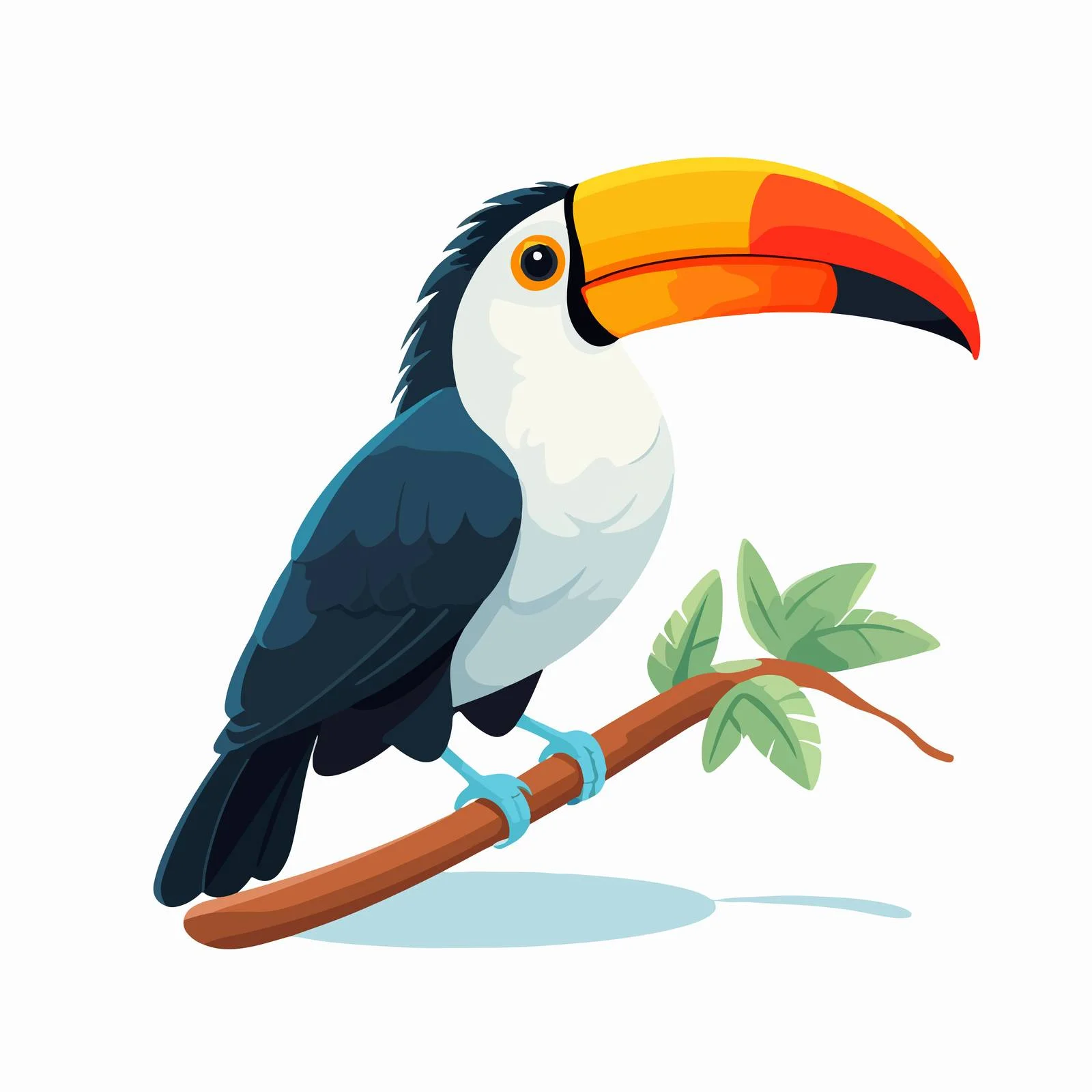 Exquisite Toco Toucan on White Background – free toucan image from Dotvec