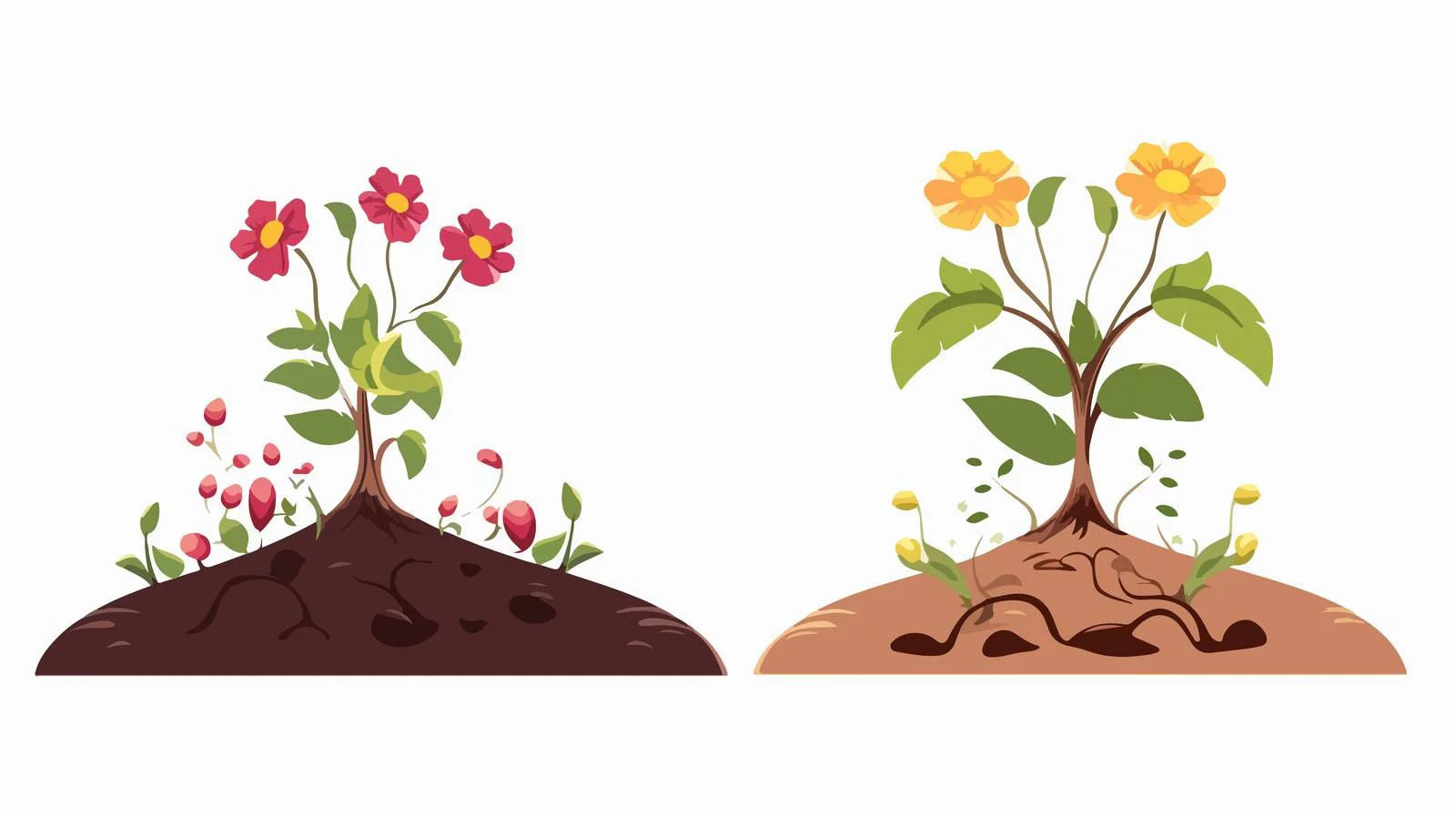 Planting Sprouted Tree Growth — free download from Dotvec