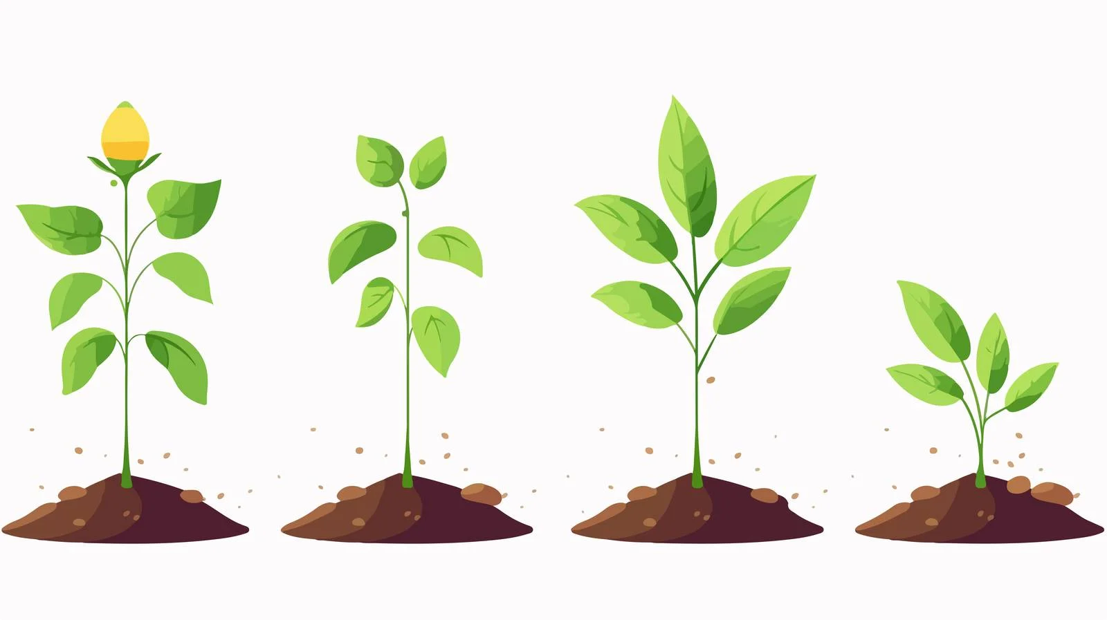 Sustainable Tree Growth Guide — free download from Dotvec