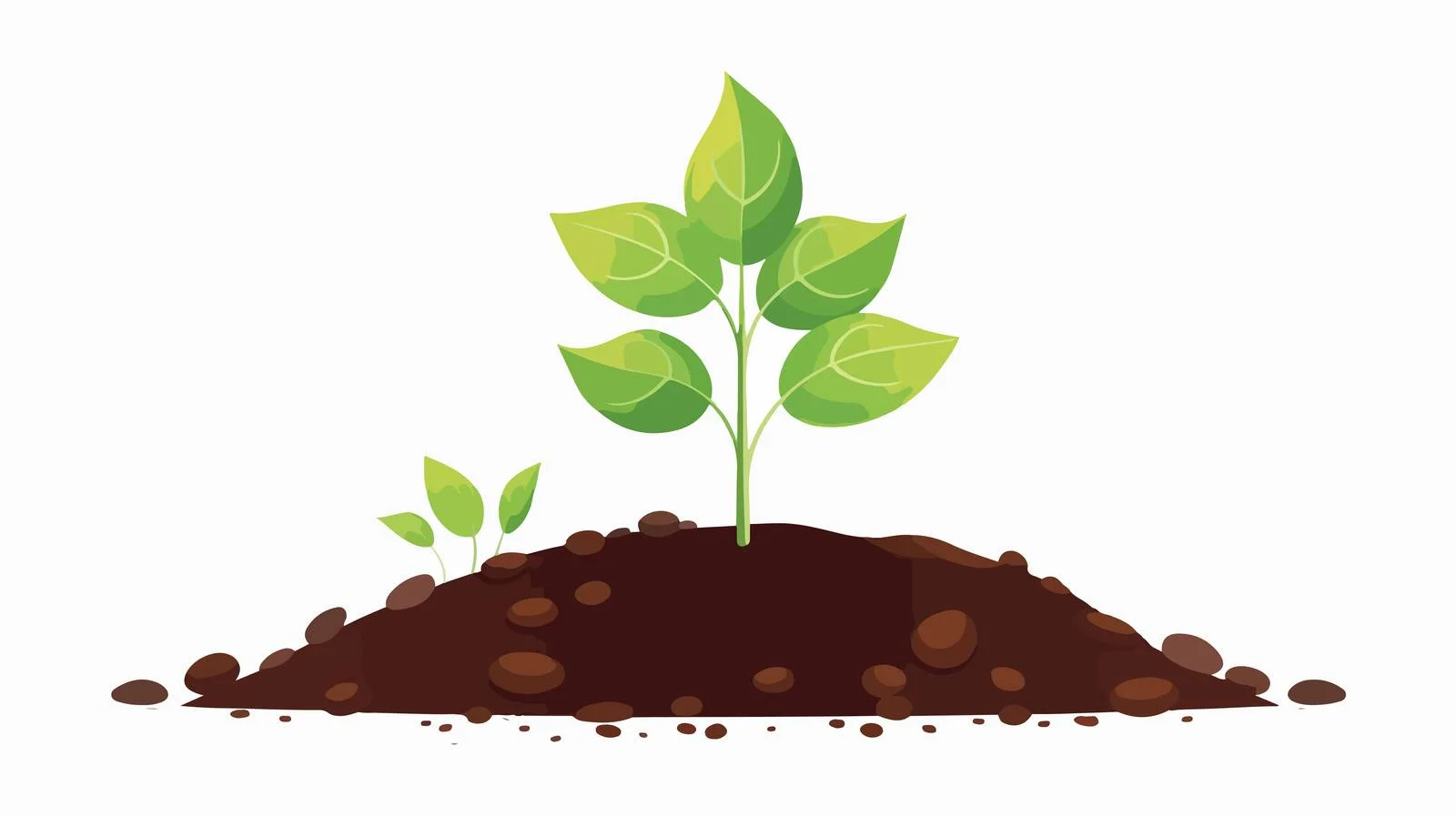 Seedling Growth Concept — free download from Dotvec