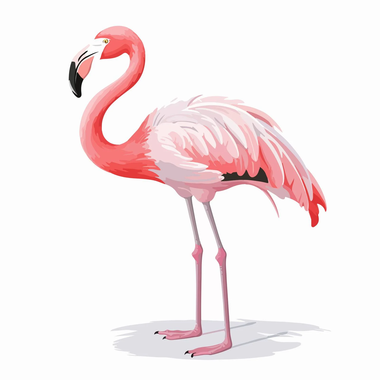 Elegant Tropical Flamingo in Pink Plumage — free download from Dotvec