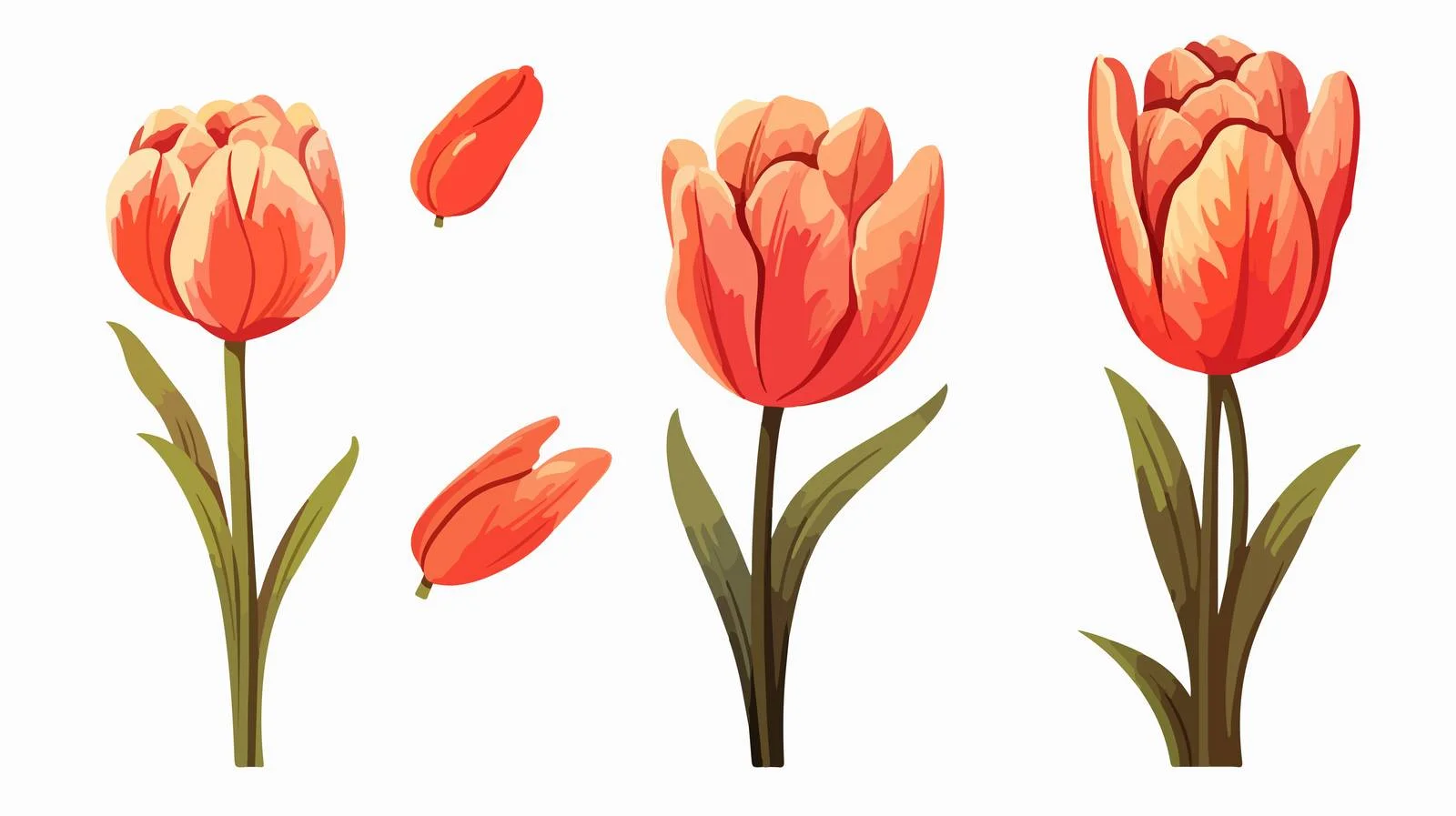 Charming Tulip Cartoon Illustration — free download from Dotvec