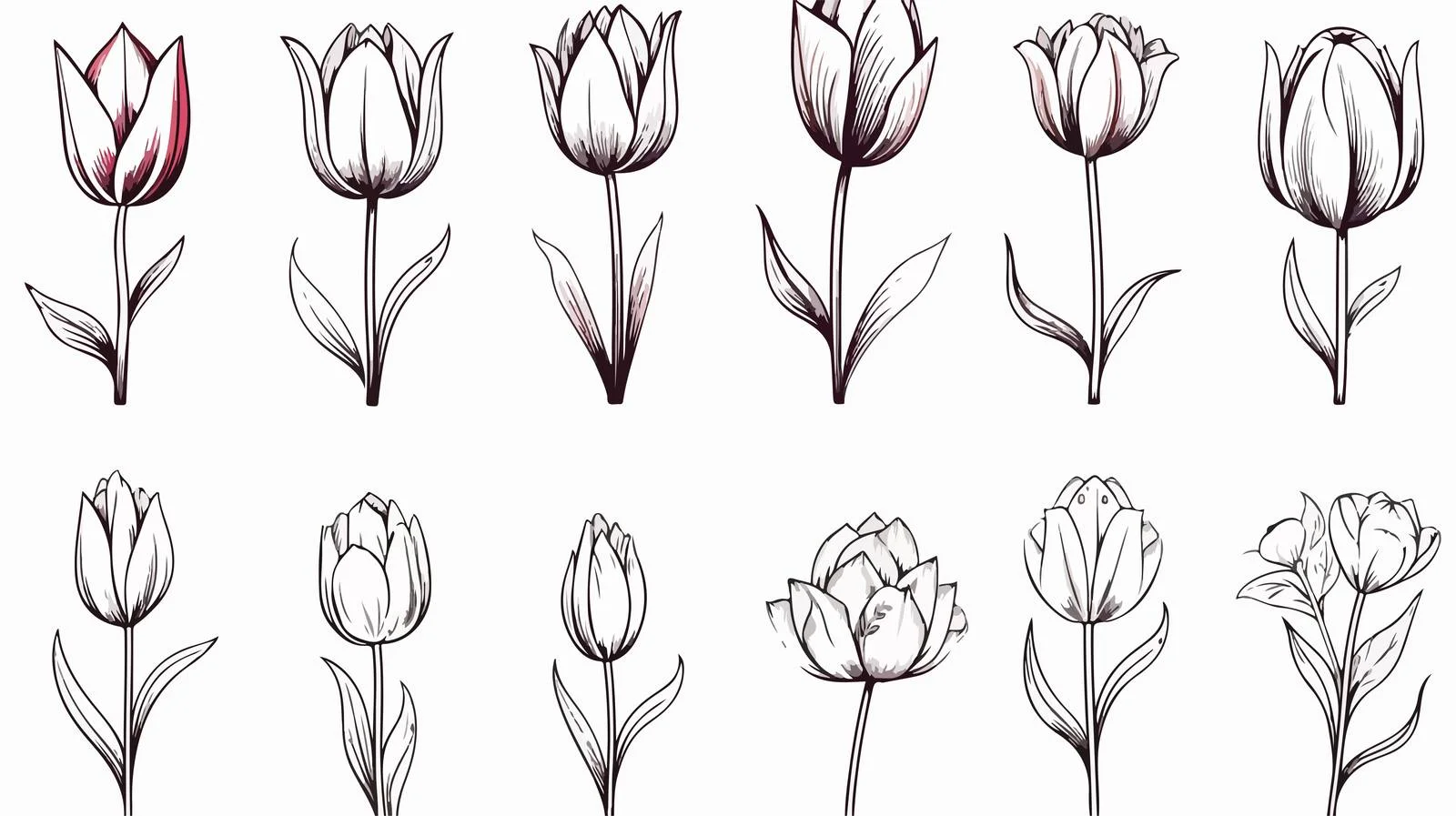 Hand Drawn Tulip Sketch Set — free download from Dotvec
