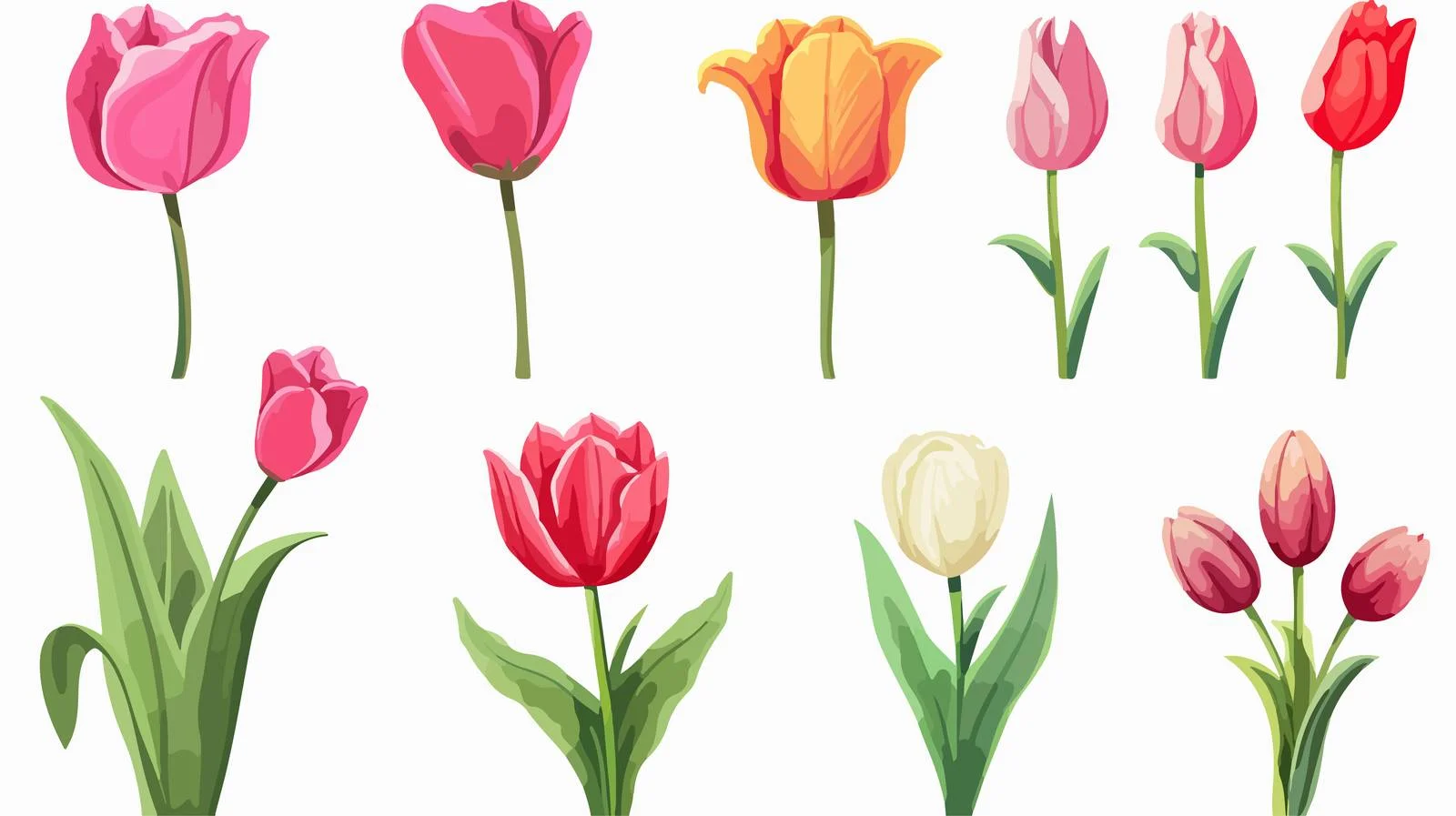 Hand-Drawn Tulip Flowers Sketch — free download from Dotvec