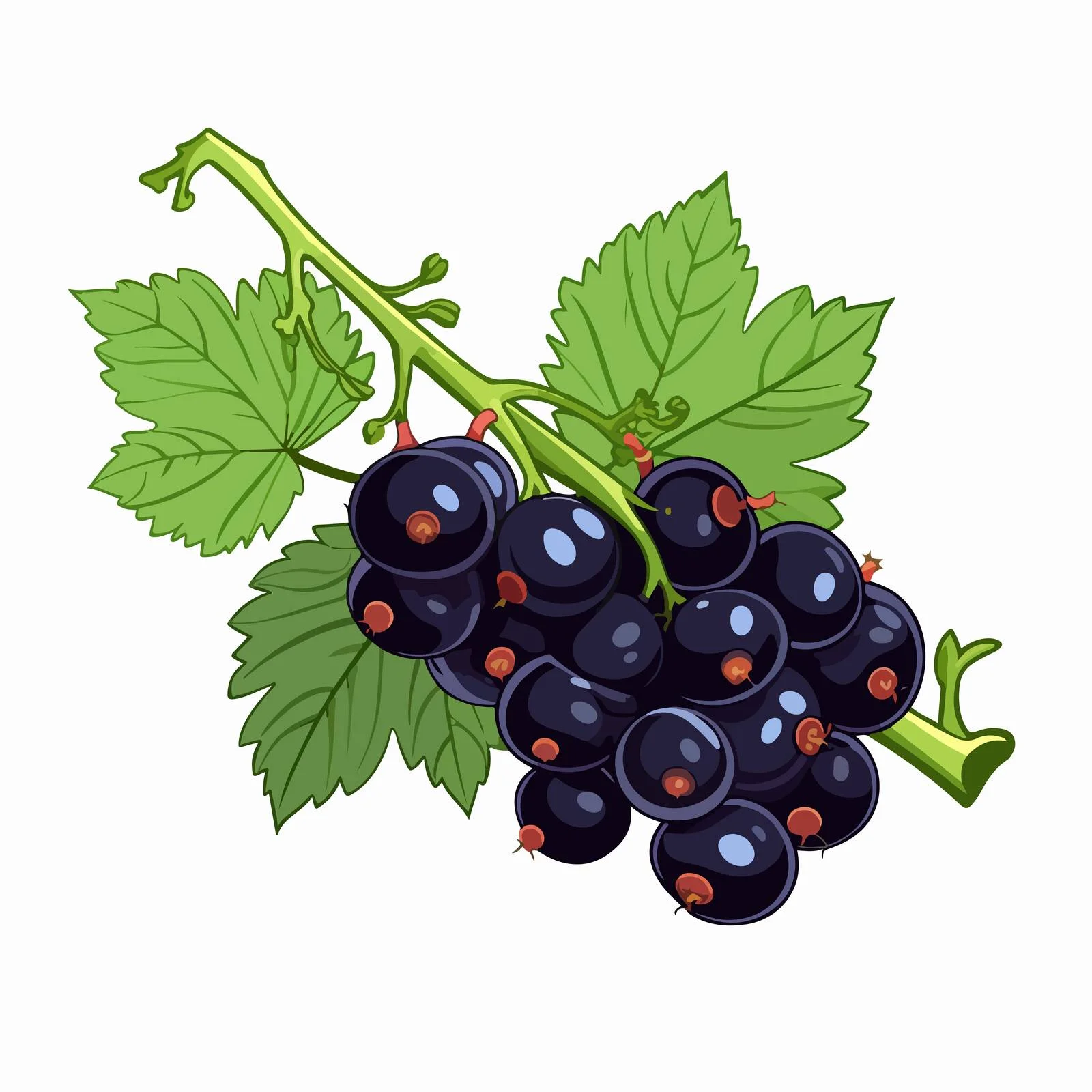 Black Currant Twig with Green Leaves — free download from Dotvec