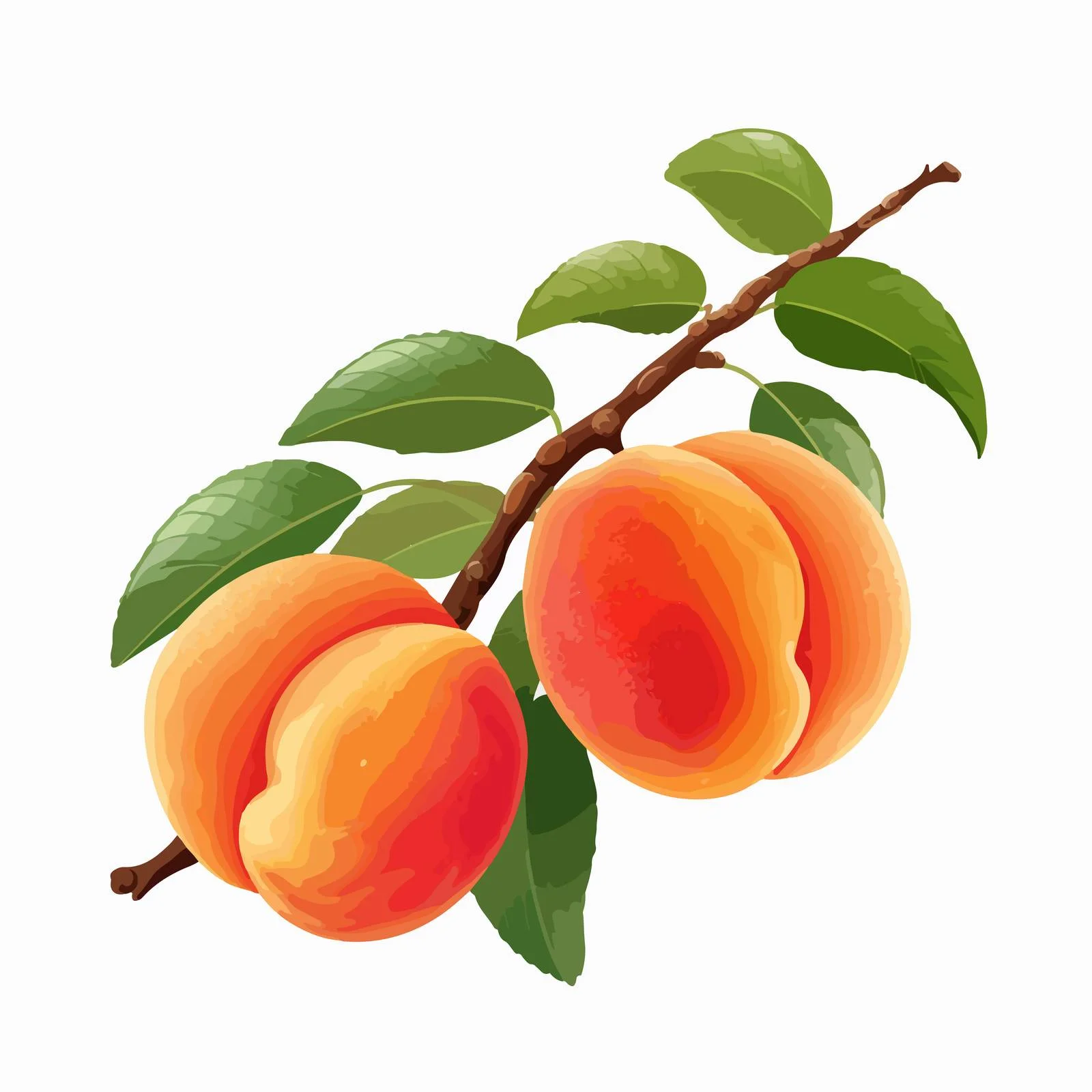 Ripe peaches on lush fruit tree branch — free download from Dotvec