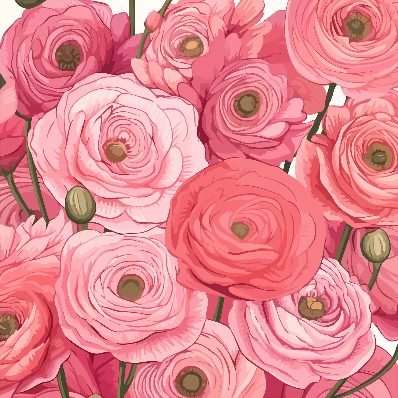 Elegant Pink Ranunculus Flower Vector Background — free download from Dotvec
