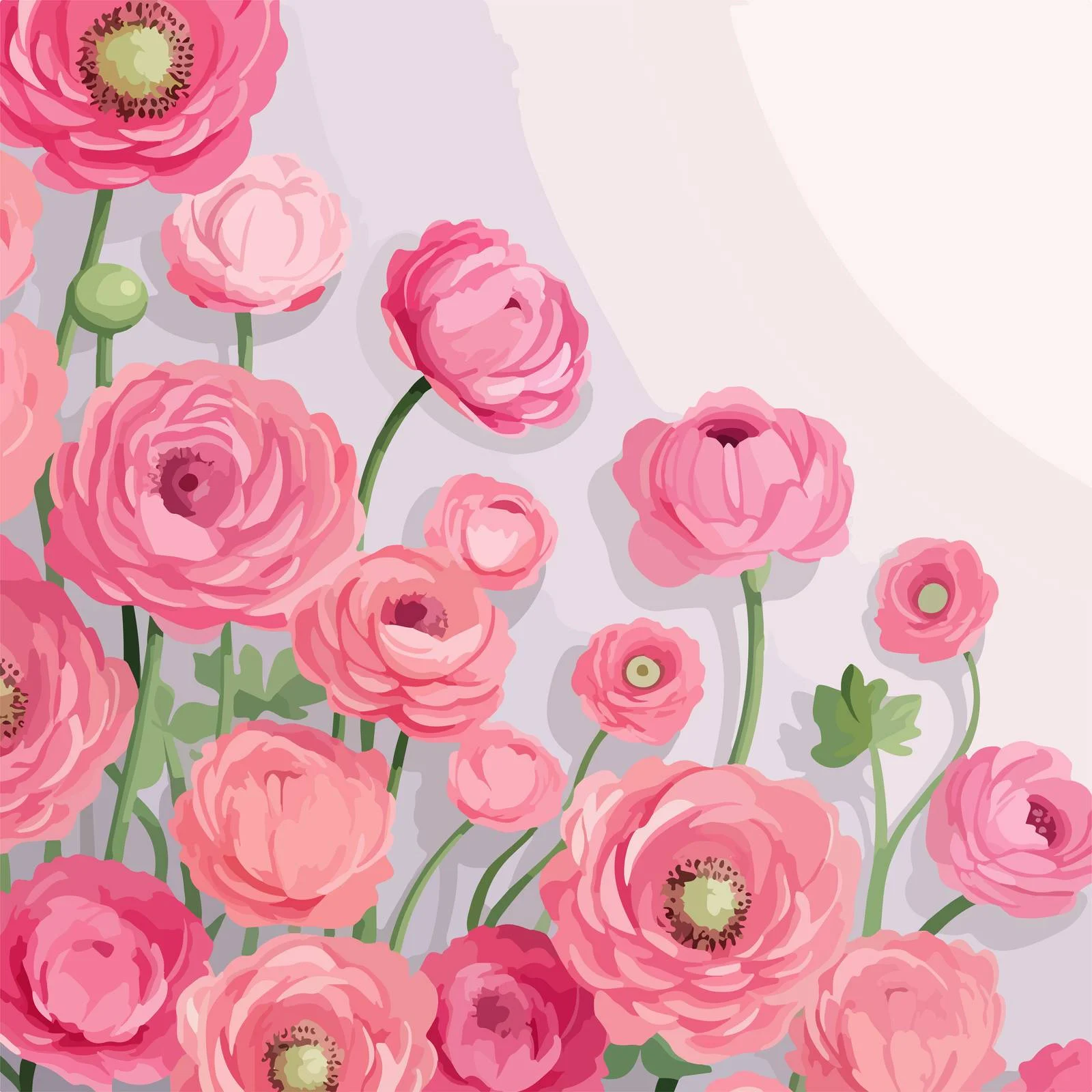 Elegant Pink Ranunculus Flower Vector Background — free download from Dotvec