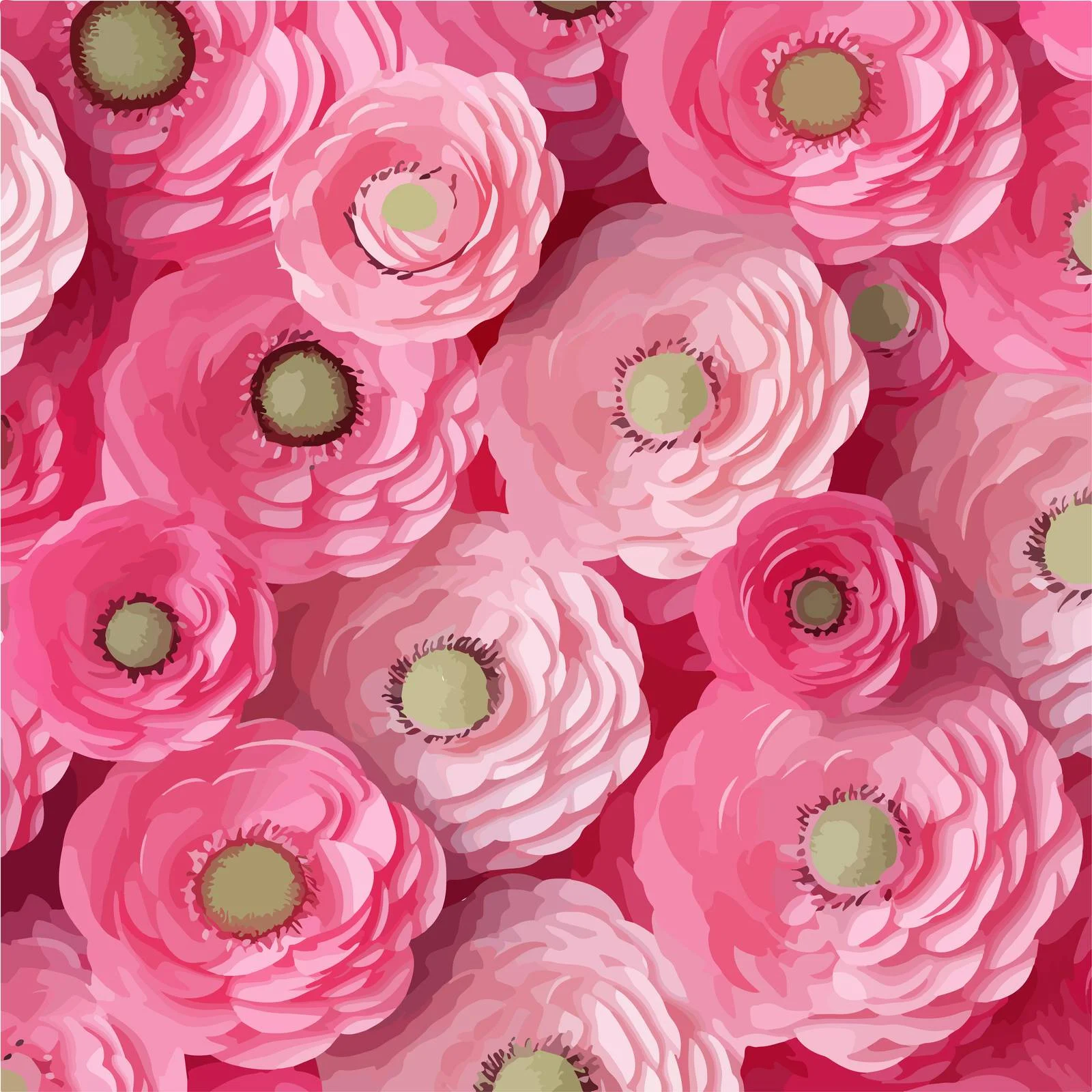 Elegant Pink Ranunculus Floral Vector Background — free download from Dotvec