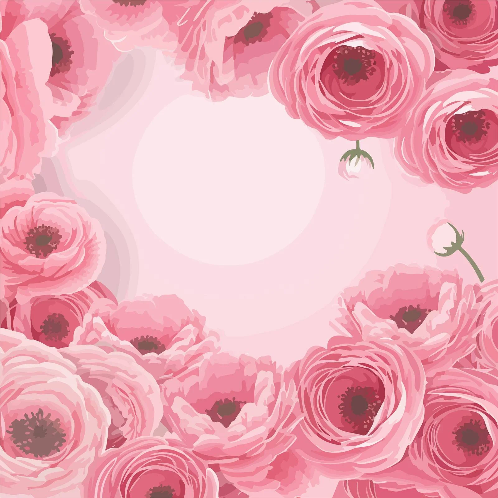 Elegant Pink Ranunculus Floral Vector Background — free download from Dotvec