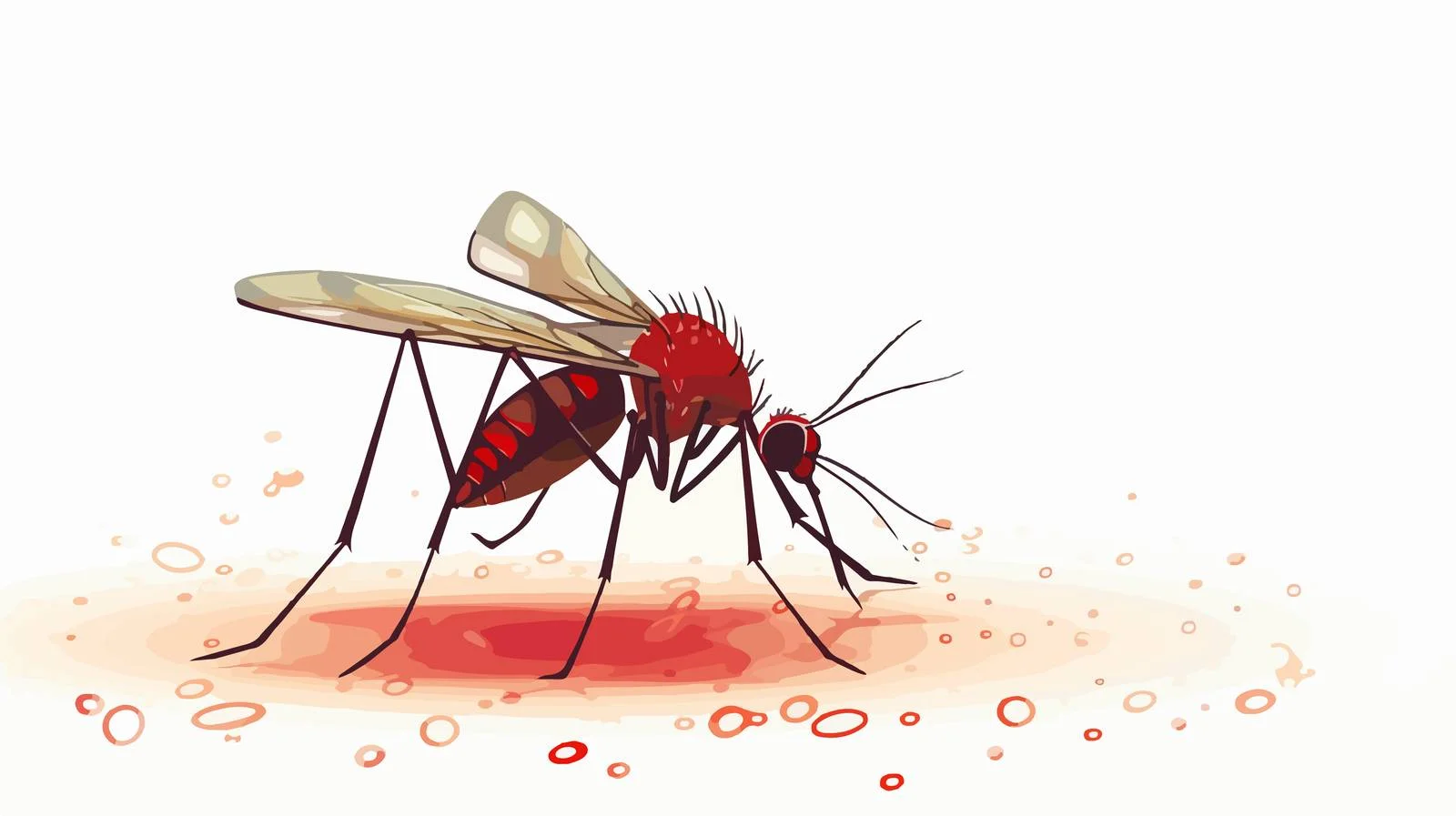 Cartoon Mosquito Bloodsucking Vector Illustration — free download from Dotvec