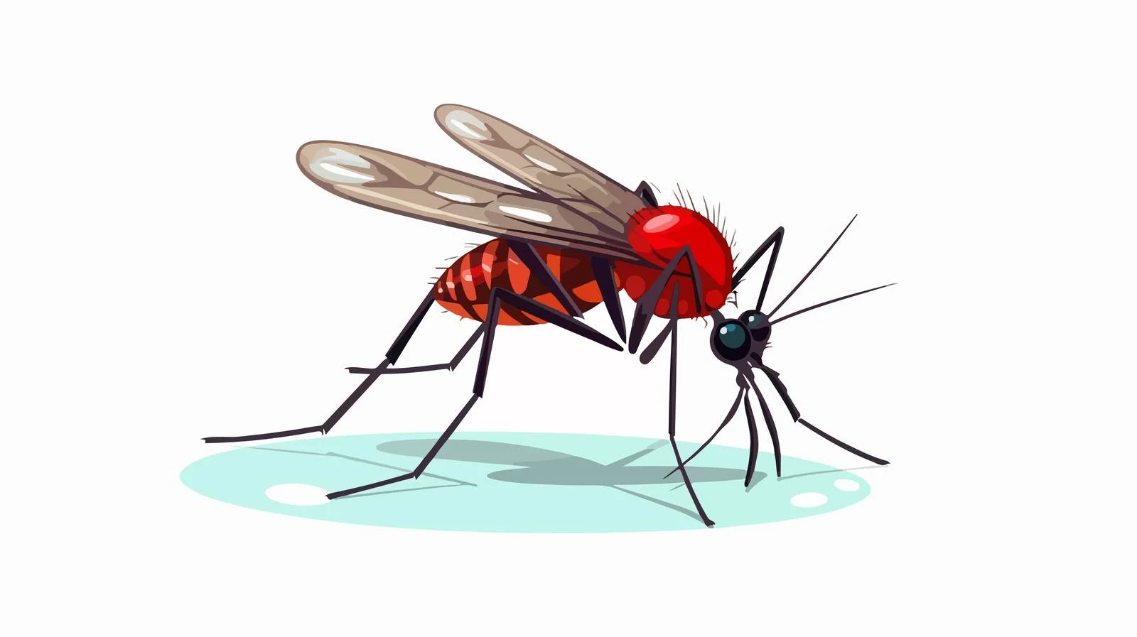 Mosquito feeding on people illustration — free download from Dotvec