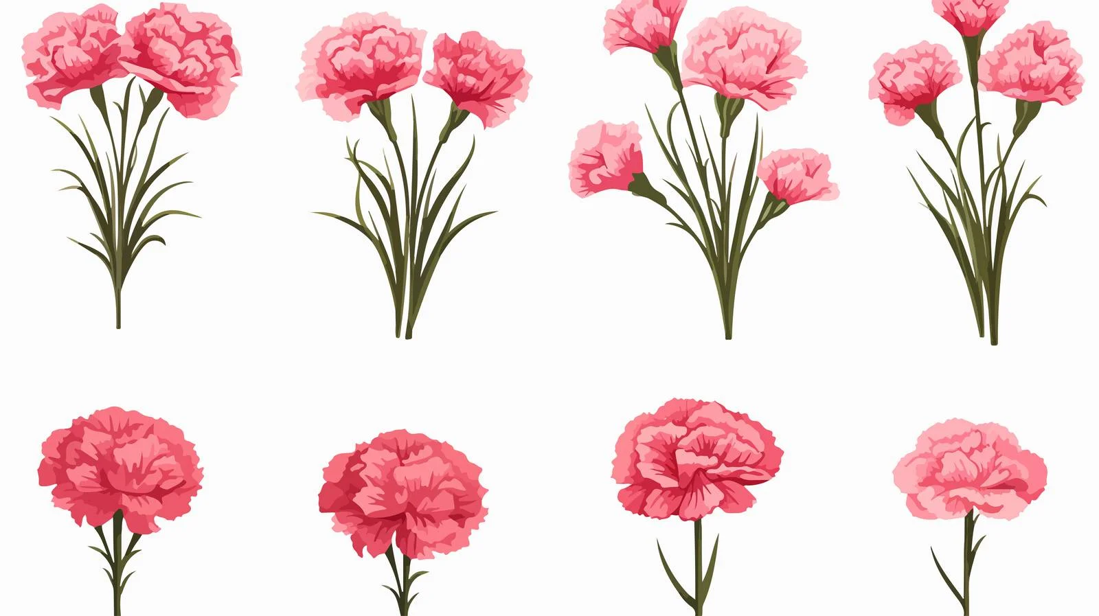 Carnation Flower Vector Collection — free download from Dotvec