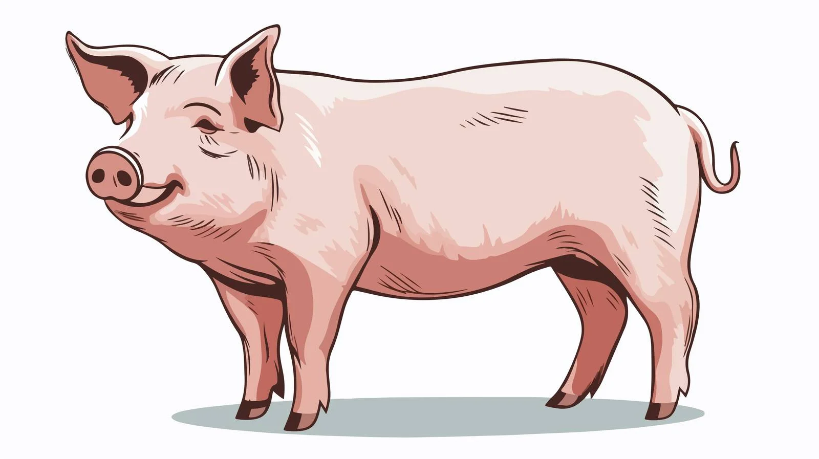 Pig Graphic Vector Illustration — free download from Dotvec