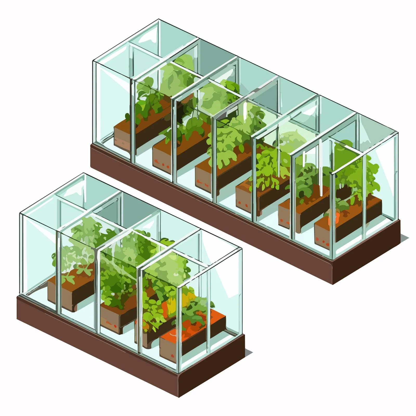 Growing Vegetables in Glass Box — free download from Dotvec