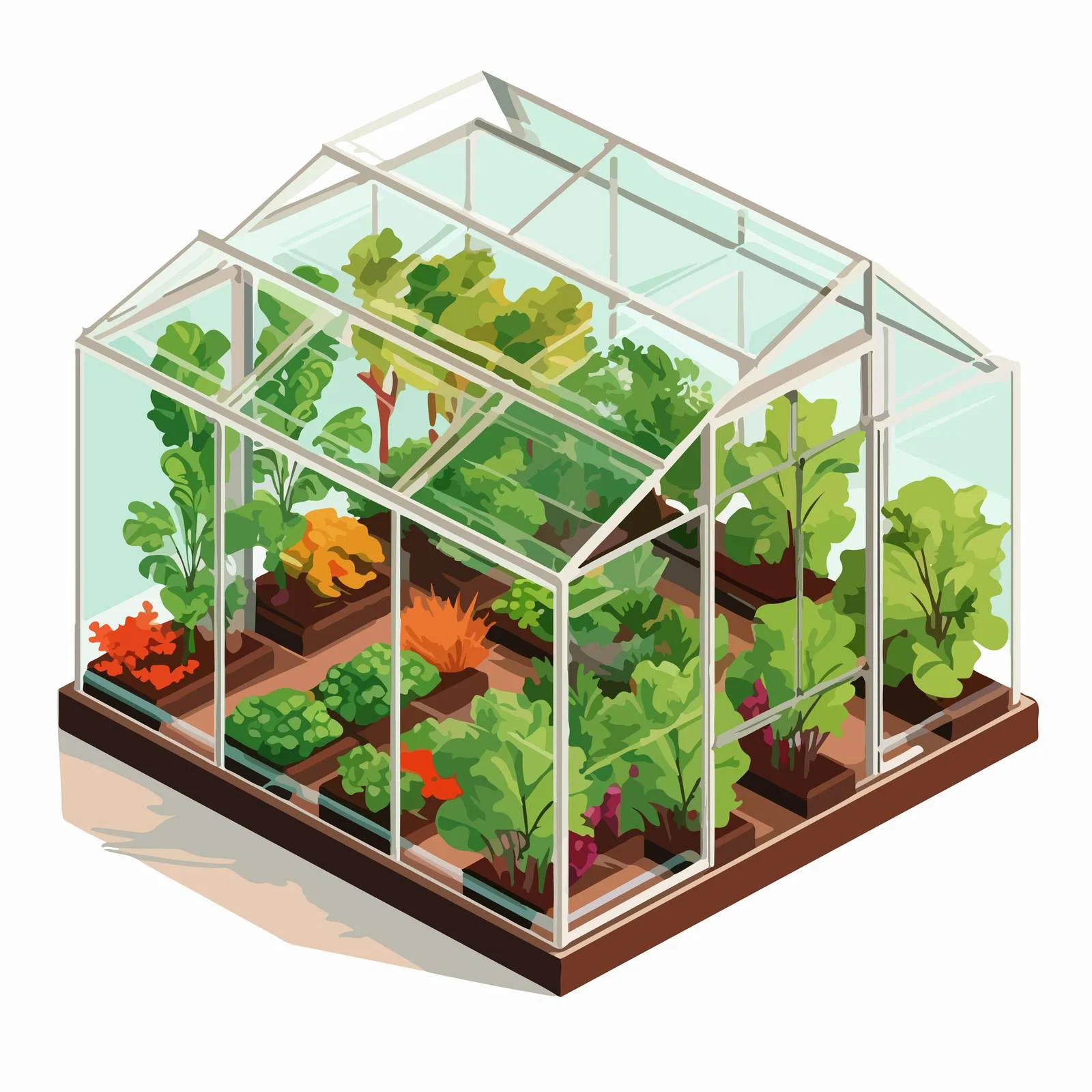 Organic Vegetables Cultivated in Transparent Boxes — free download from Dotvec