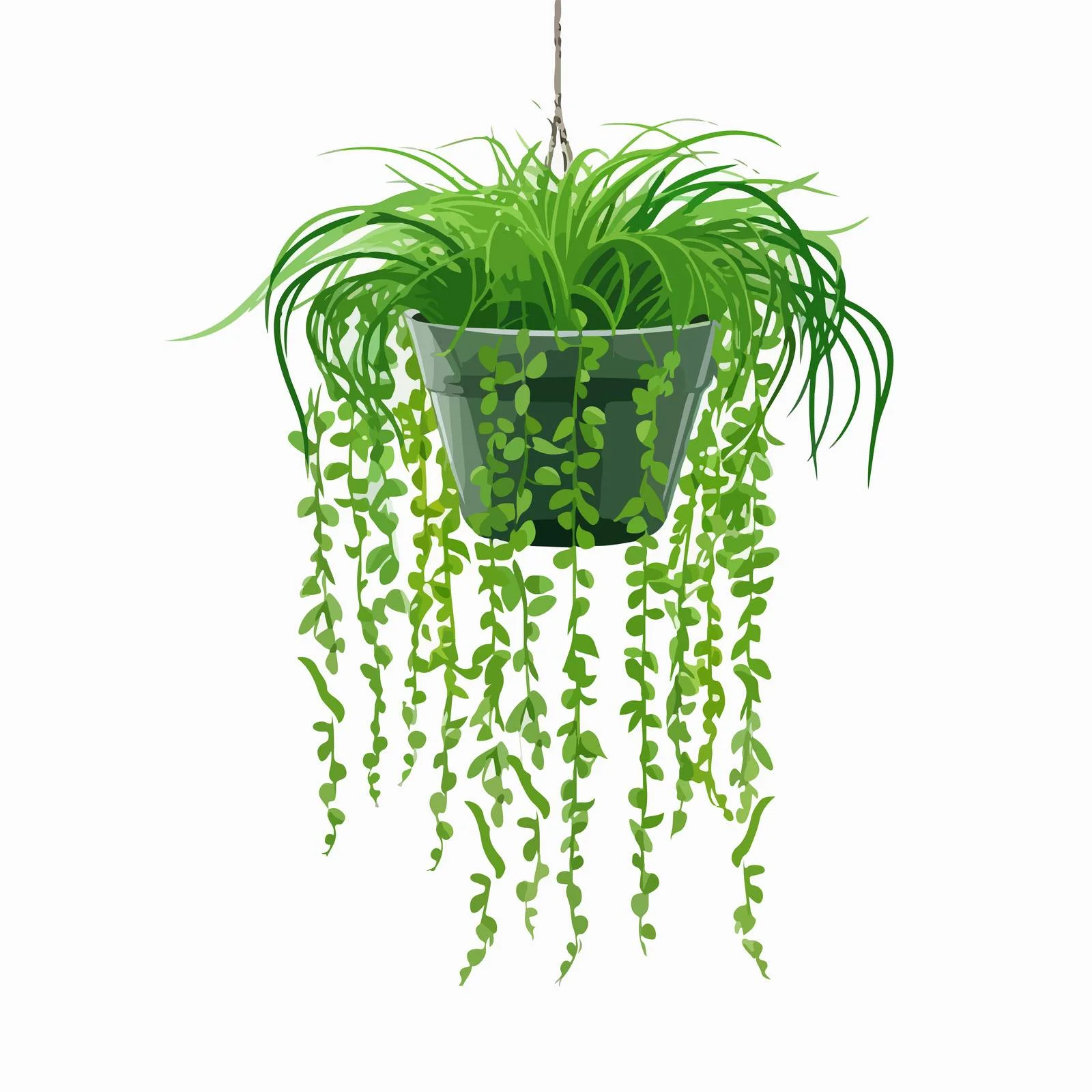 Modern Wall Houseplant in Green Pot — free download from Dotvec
