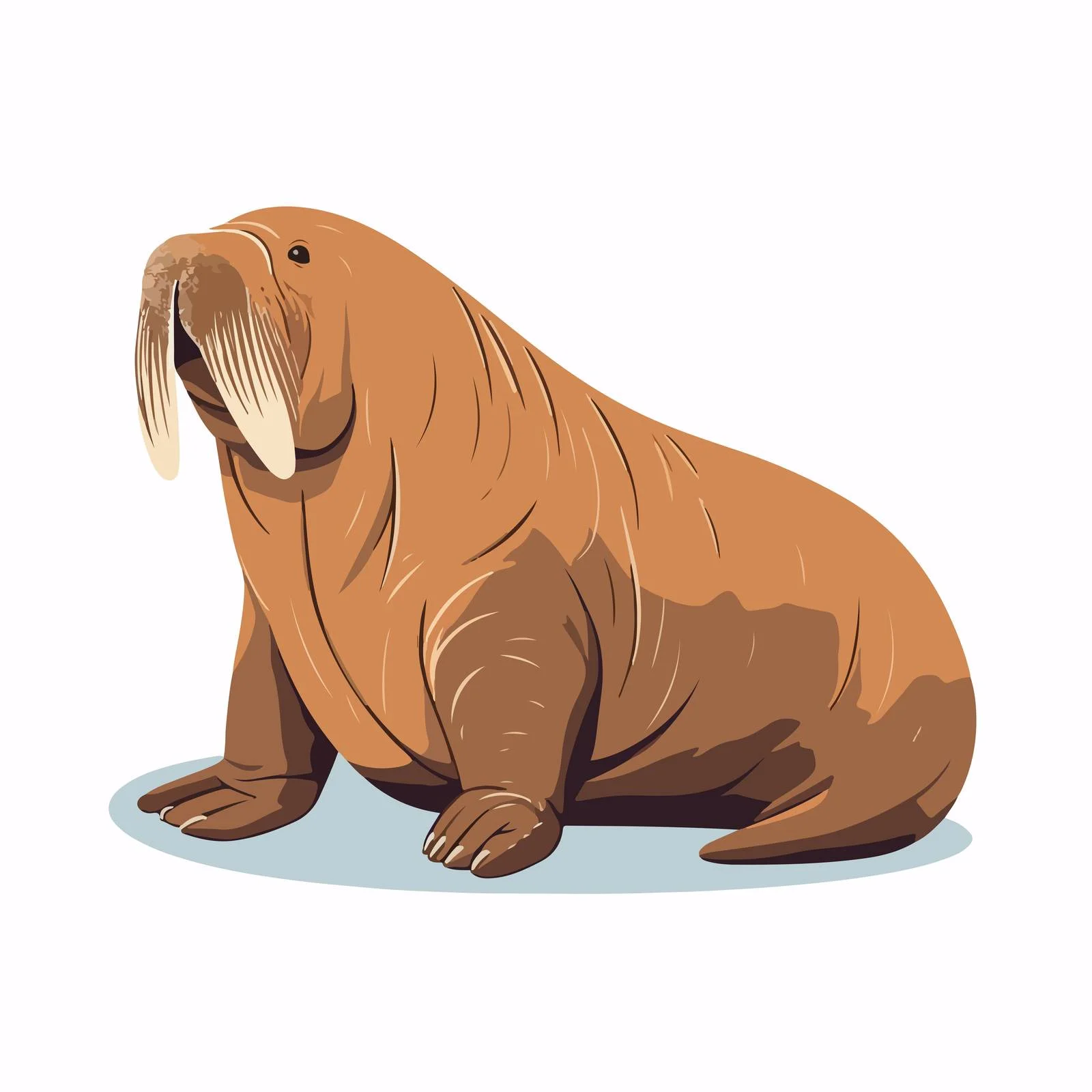 Walrus Vector Illustration for Nautical Designs — free download from Dotvec