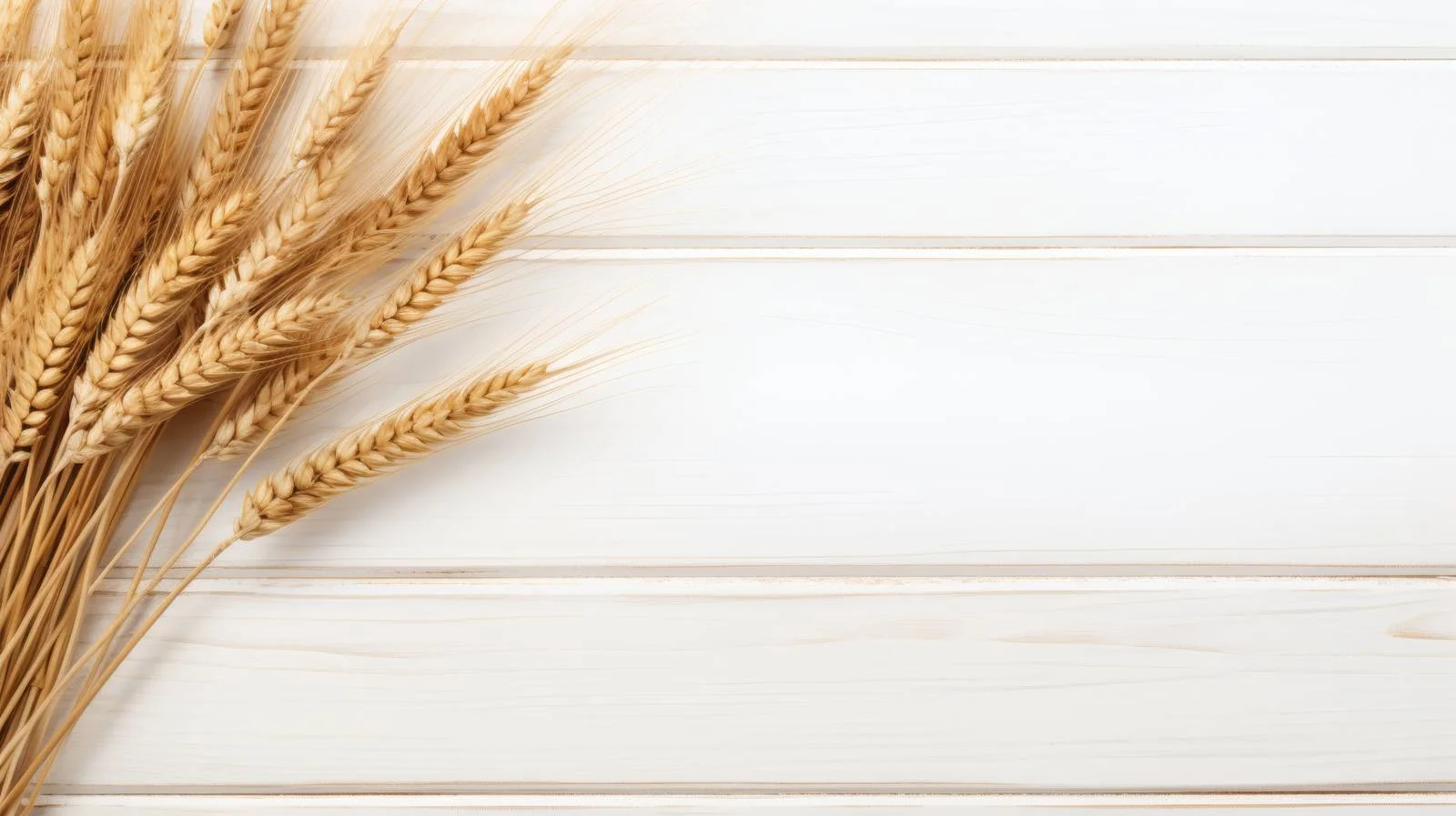 Ripe Wheat Ears on White Wooden Surface — free download from Dotvec