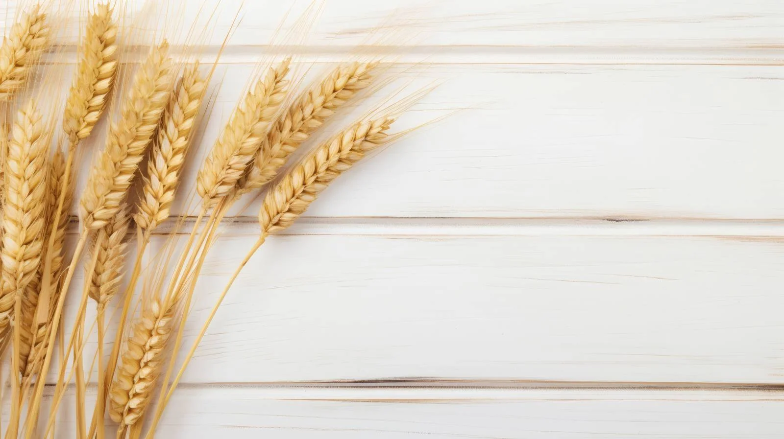 Elegant Wheat Ears on White Wooden Surface — free download from Dotvec