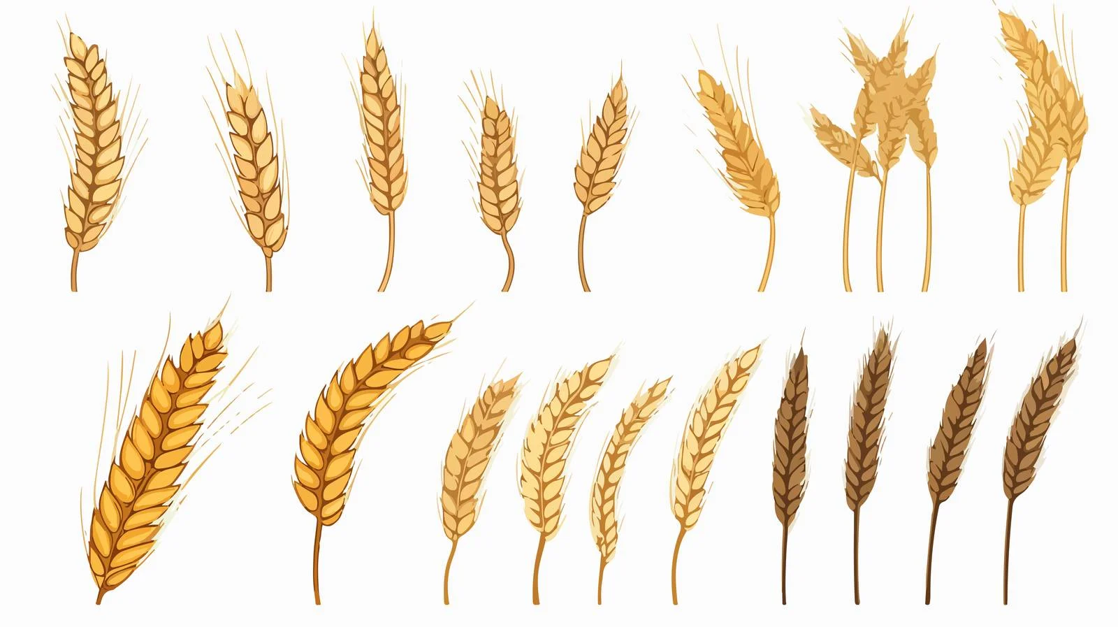 Hand-Drawn Wheat Logo Collection Sketch — free download from Dotvec