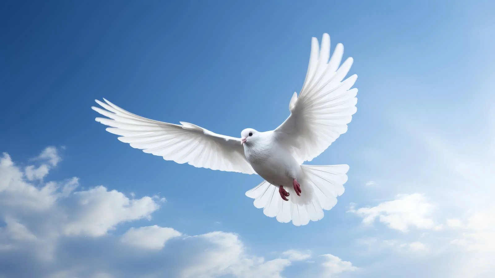 Ethereal white dove against serene blue sky — free download from Dotvec