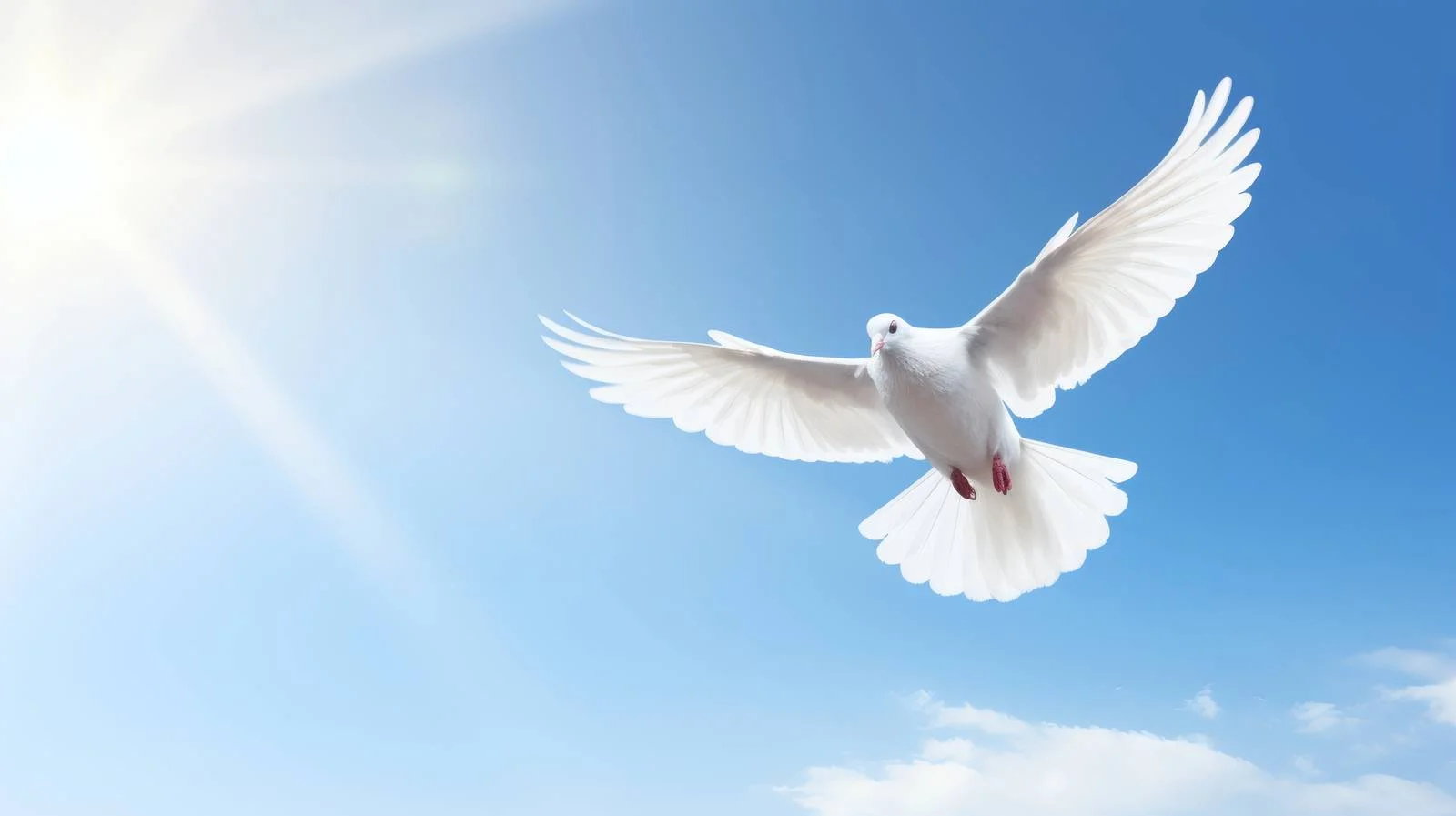 Peaceful White Dove Soaring in Blue Sky — free download from Dotvec